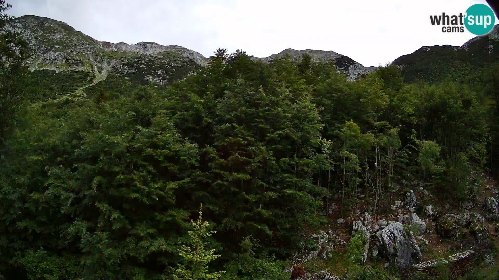 Livecam PLANINA RAZOR (1315) | vue sur Vogel et Globoko
