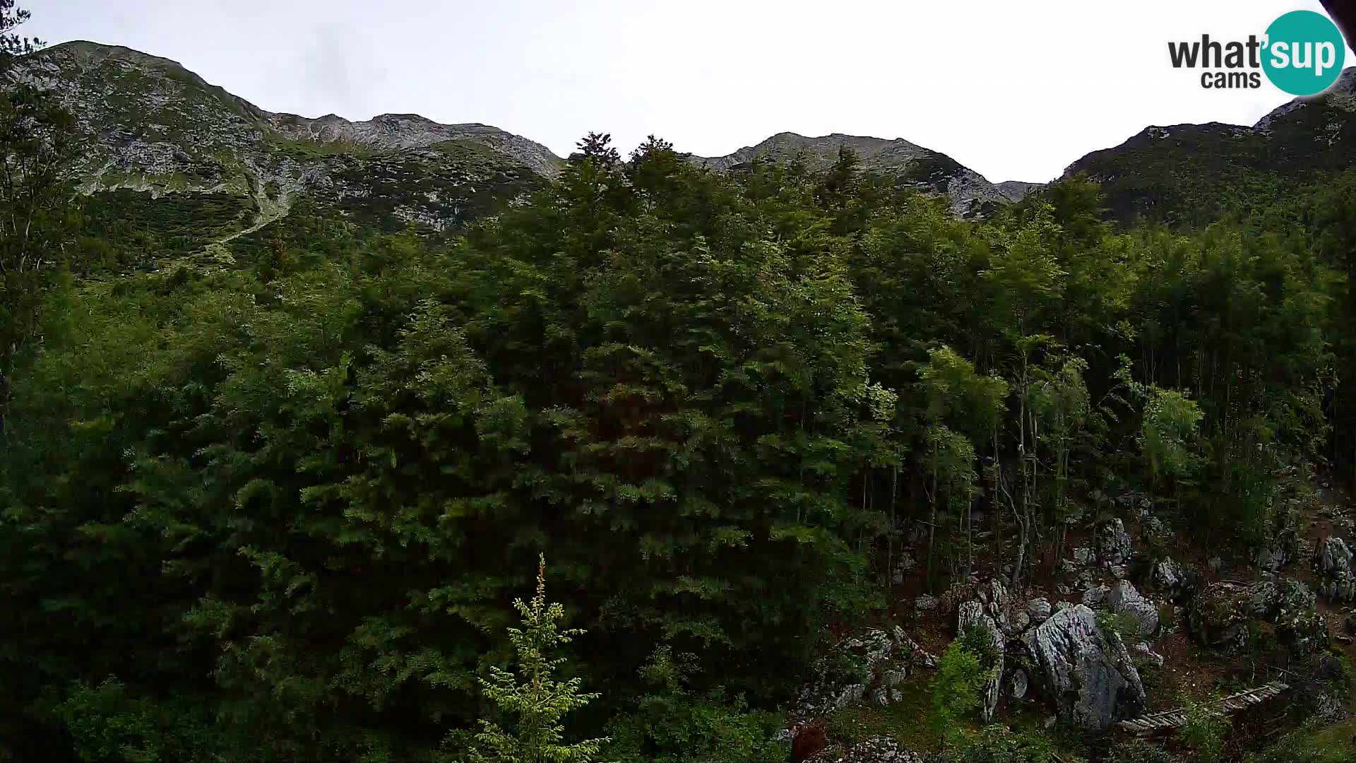PLANINA RAZOR webcam (1315) | view to Vogel and Globoko