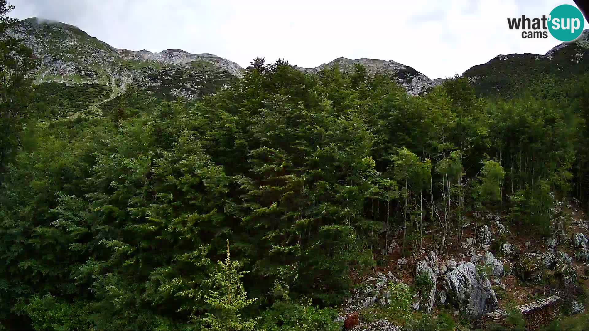 PLANINA RAZOR kamera (1315) | pogled na Vogel in Globoko