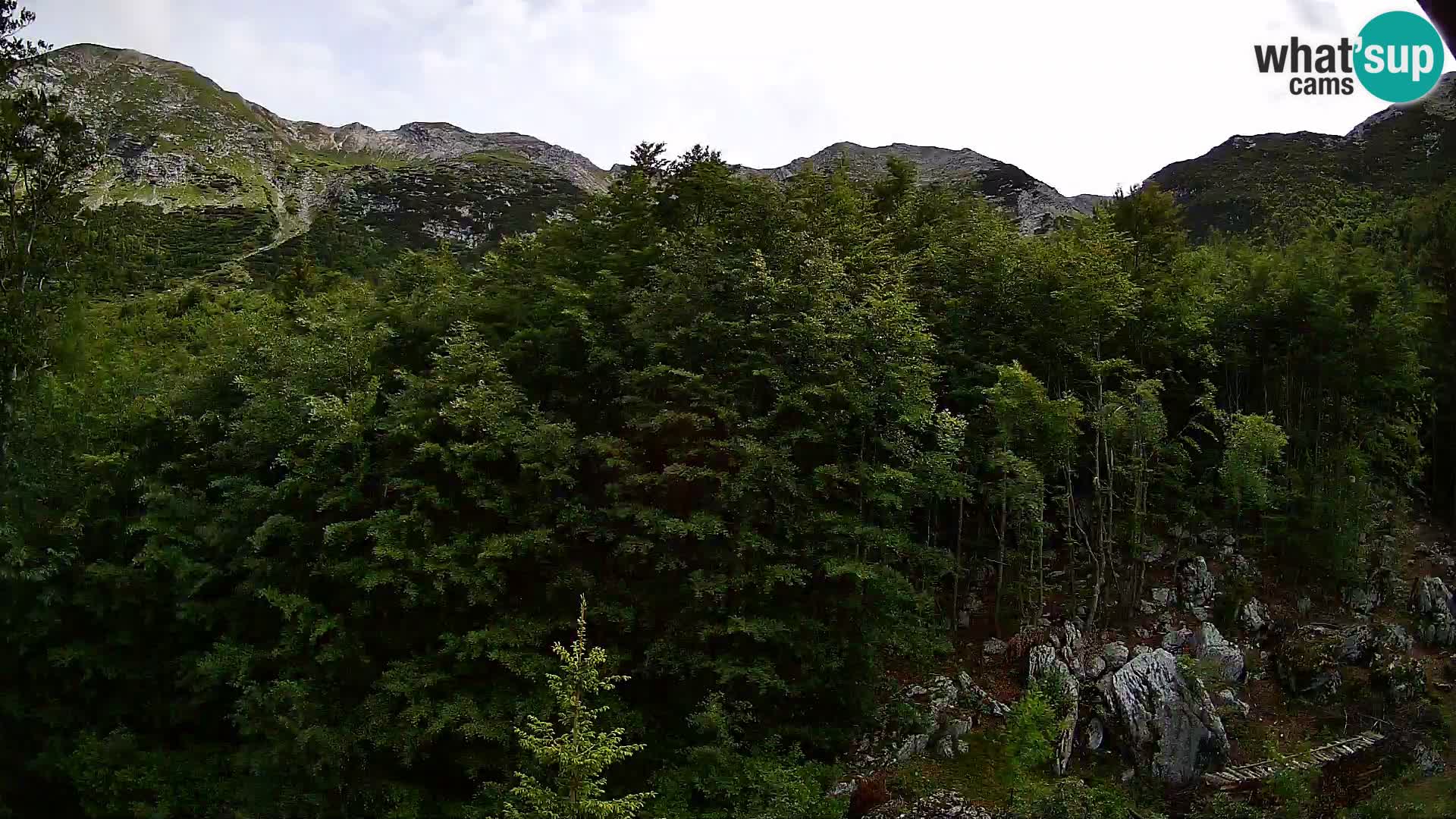 PLANINA RAZOR web kamera (1315) | pogled na Vogel i Globoko