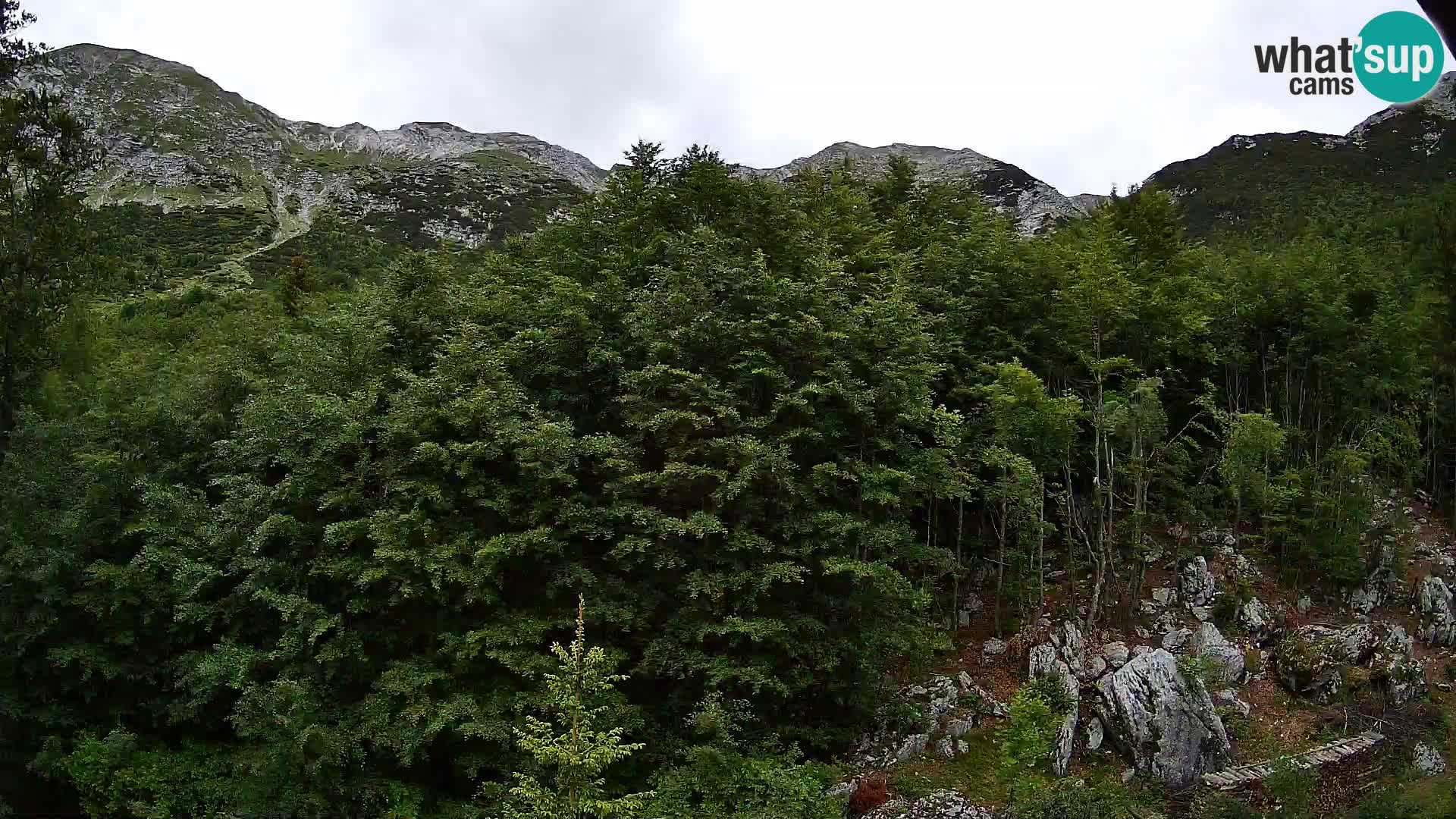 Livecam PLANINA RAZOR (1315) | vue sur Vogel et Globoko