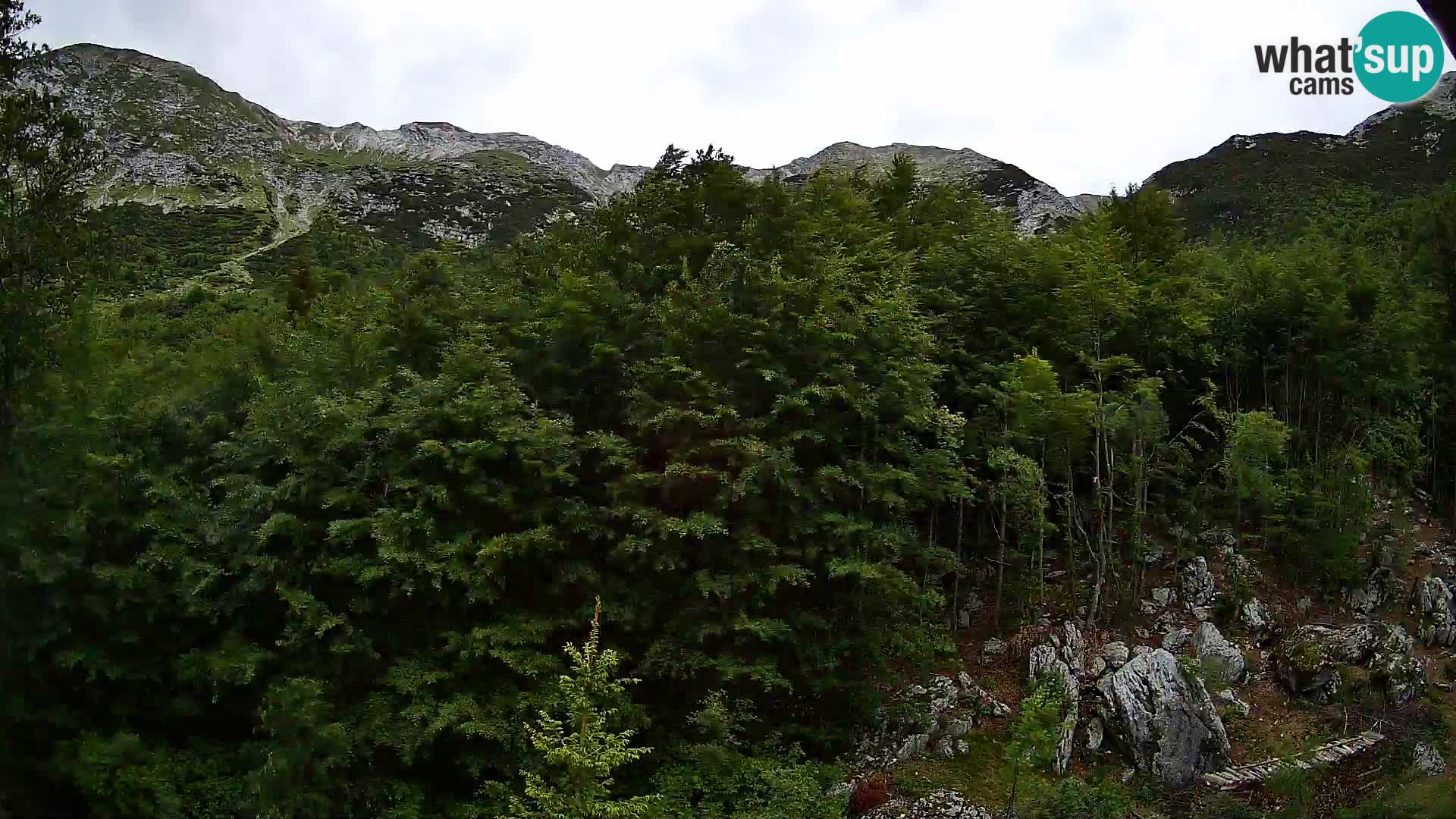 Cámara web PLANINA RAZOR (1315) | vista a Vogel y Globoko