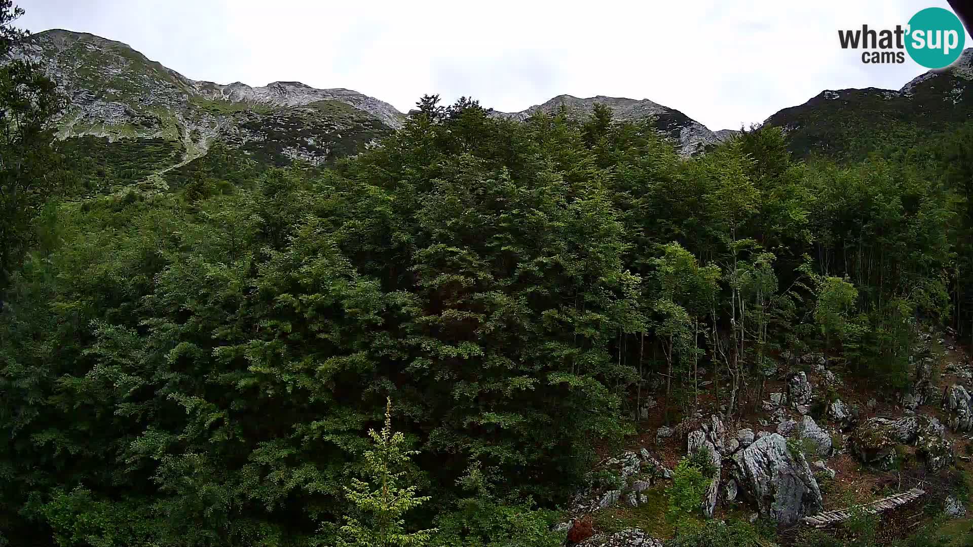 Cámara web PLANINA RAZOR (1315) | vista a Vogel y Globoko