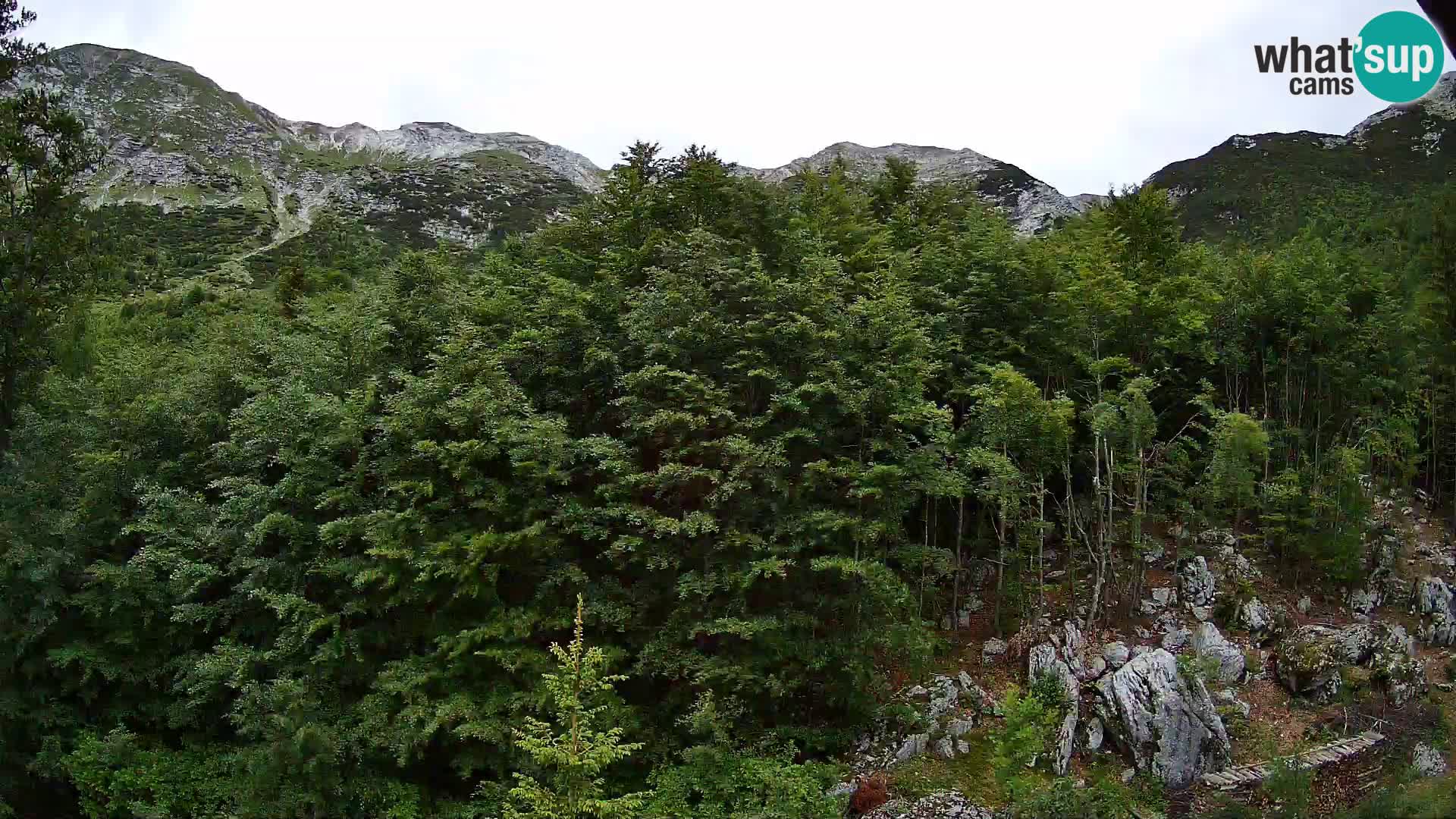 Webcam PLANINA RAZOR (1315) | Blick auf Vogel und Globoko