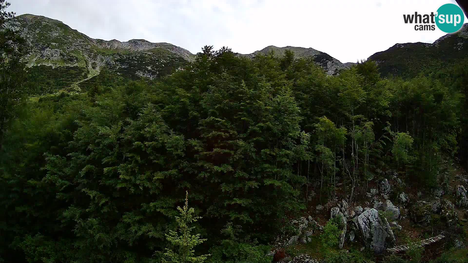 PLANINA RAZOR Live Cam (1315) | vista su Vogel e Globoko
