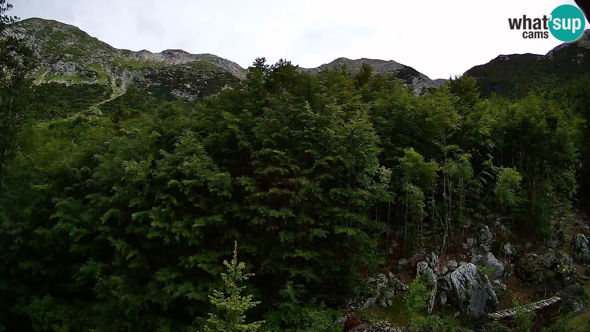 PLANINA RAZOR kamera (1315) | pogled na Vogel in Globoko