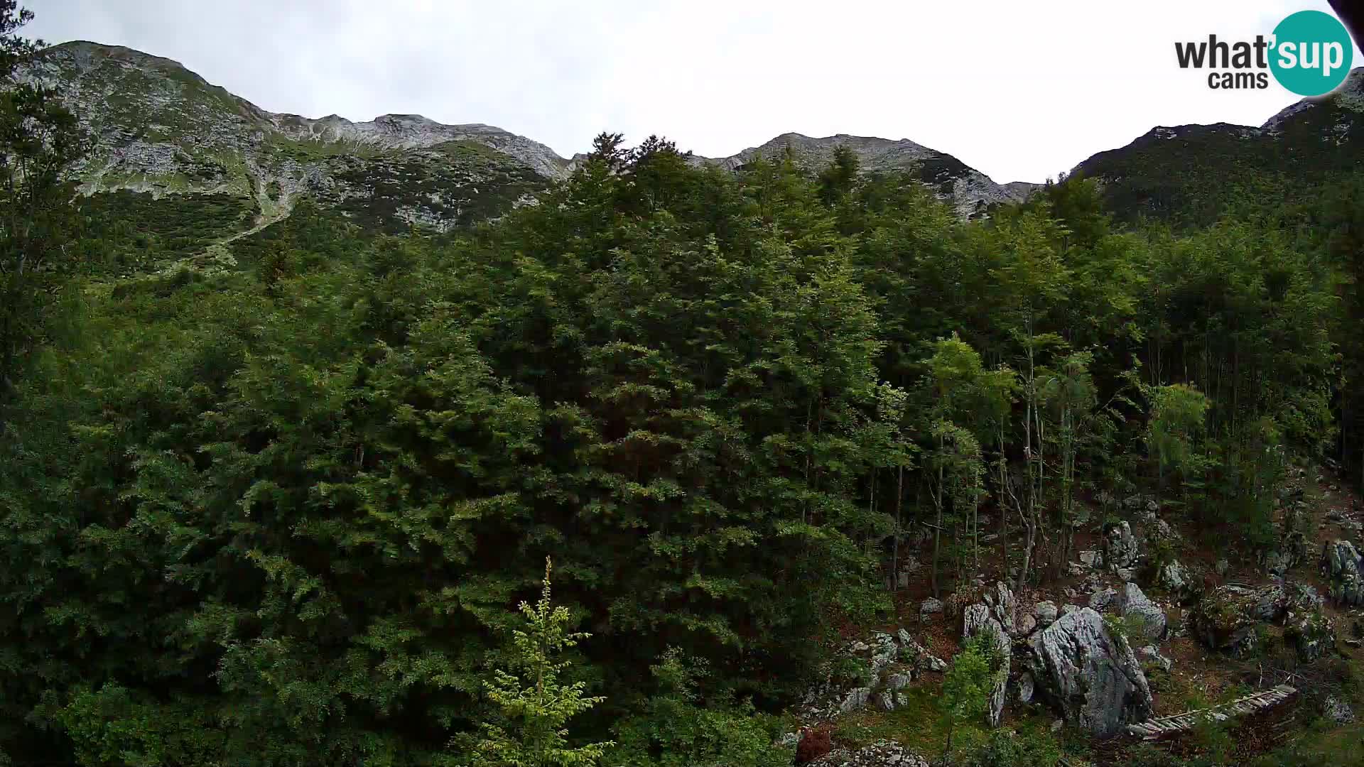 Livecam PLANINA RAZOR (1315) | vue sur Vogel et Globoko