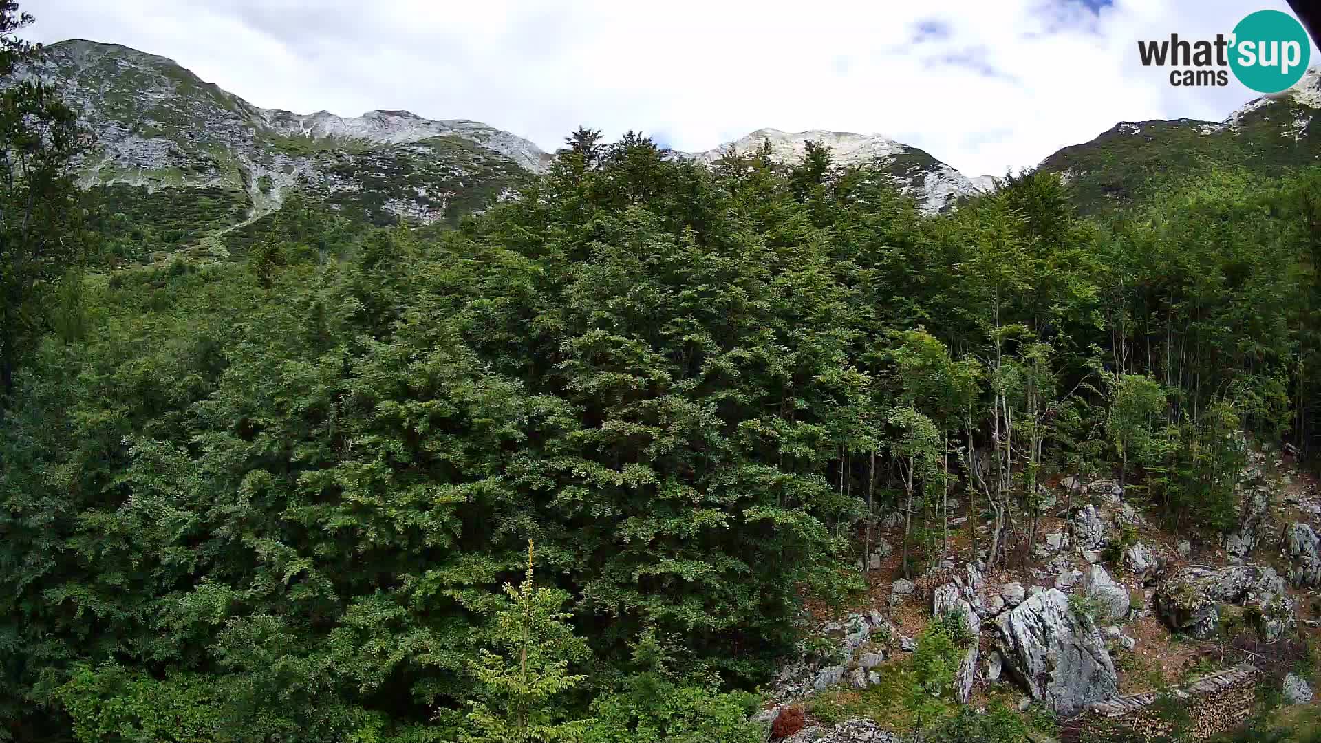 Cámara web PLANINA RAZOR (1315) | vista a Vogel y Globoko
