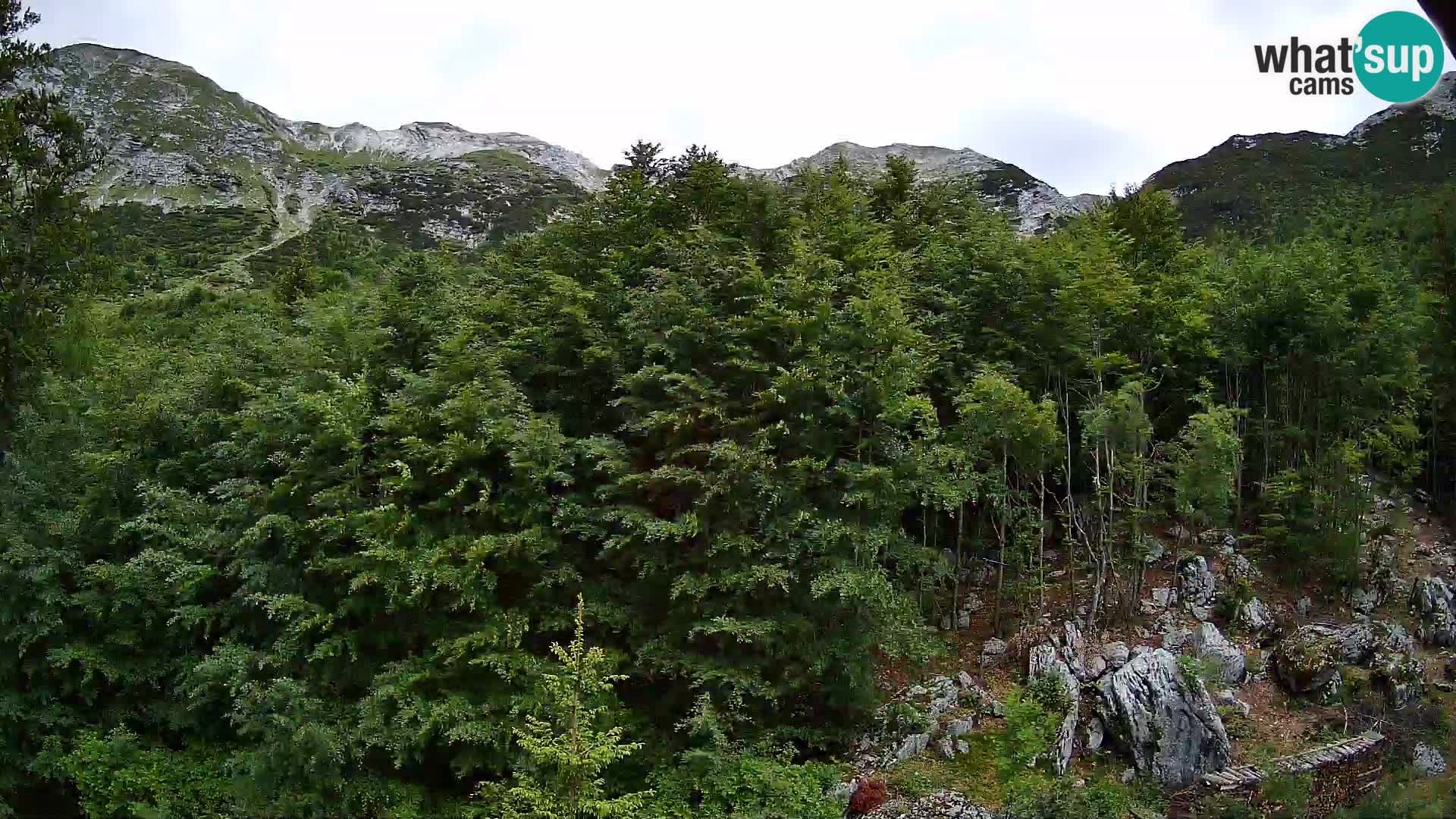 Livecam PLANINA RAZOR (1315) | vue sur Vogel et Globoko