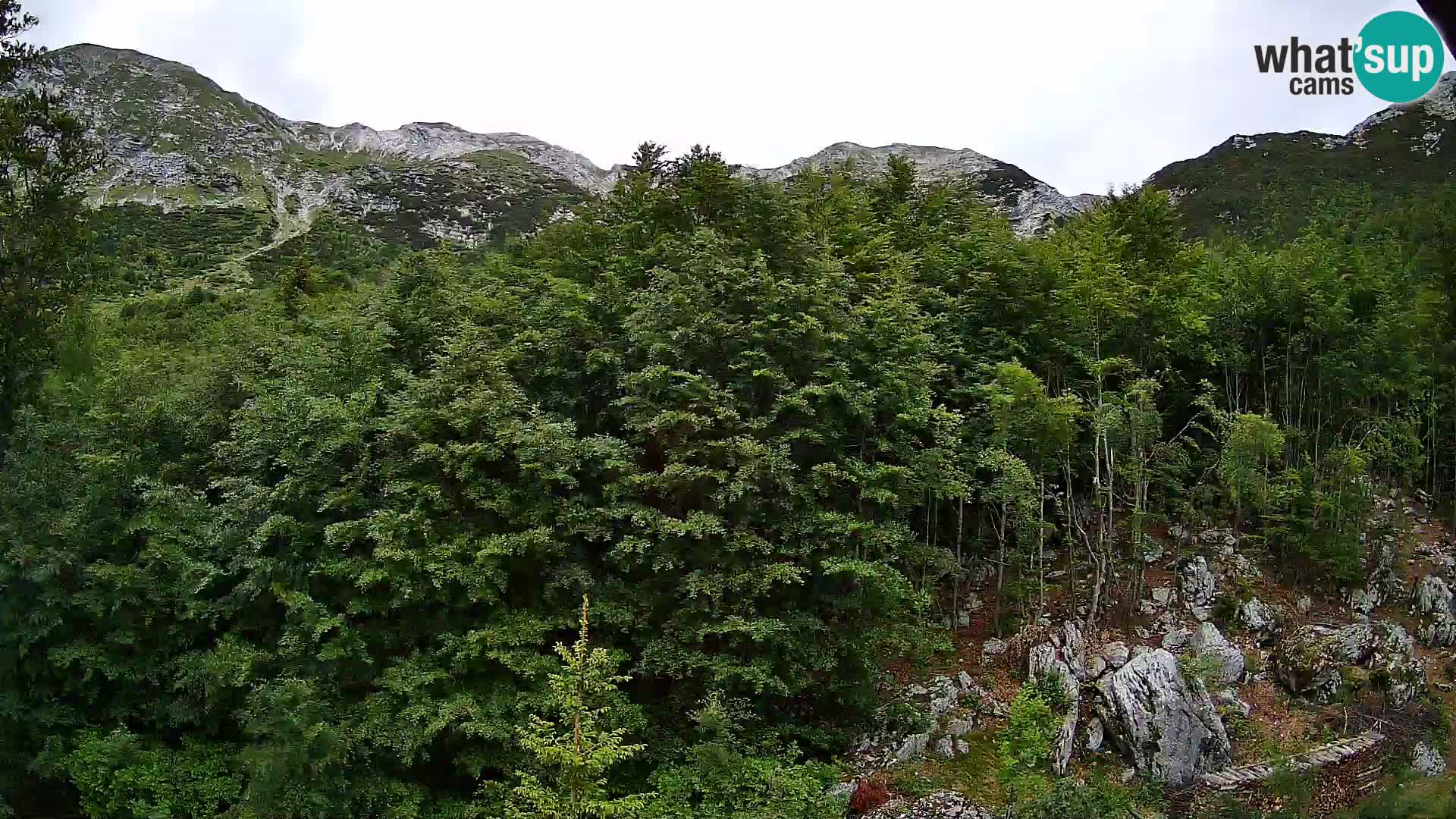 Livecam PLANINA RAZOR (1315) | vue sur Vogel et Globoko