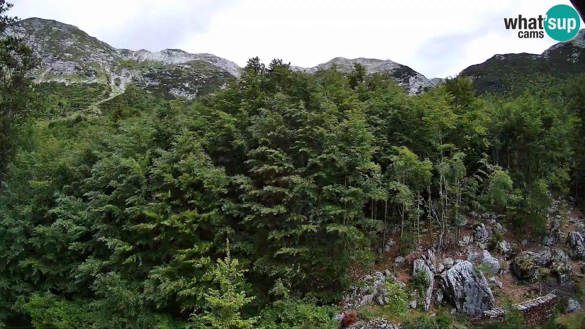 PLANINA RAZOR web kamera (1315) | pogled na Vogel i Globoko