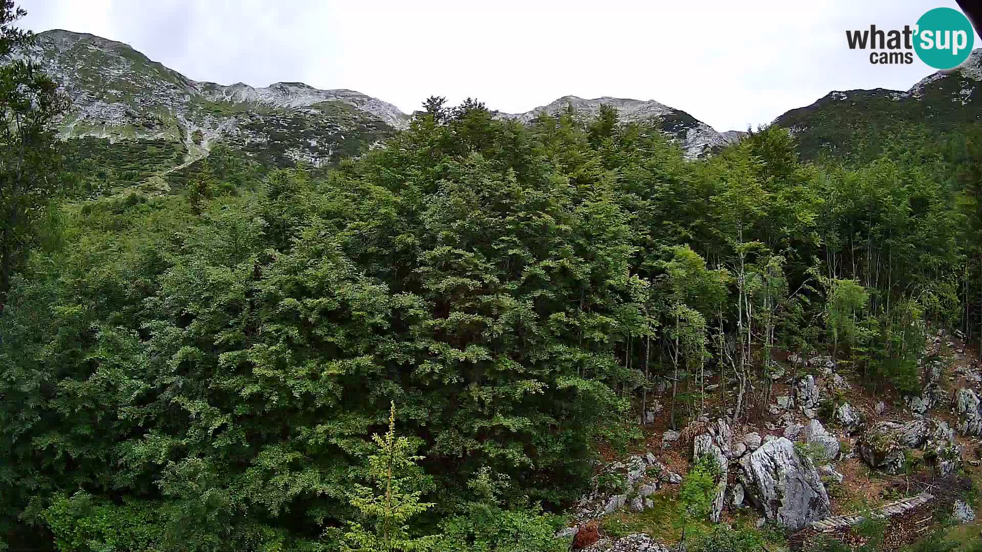 PLANINA RAZOR Live Cam (1315) | vista su Vogel e Globoko