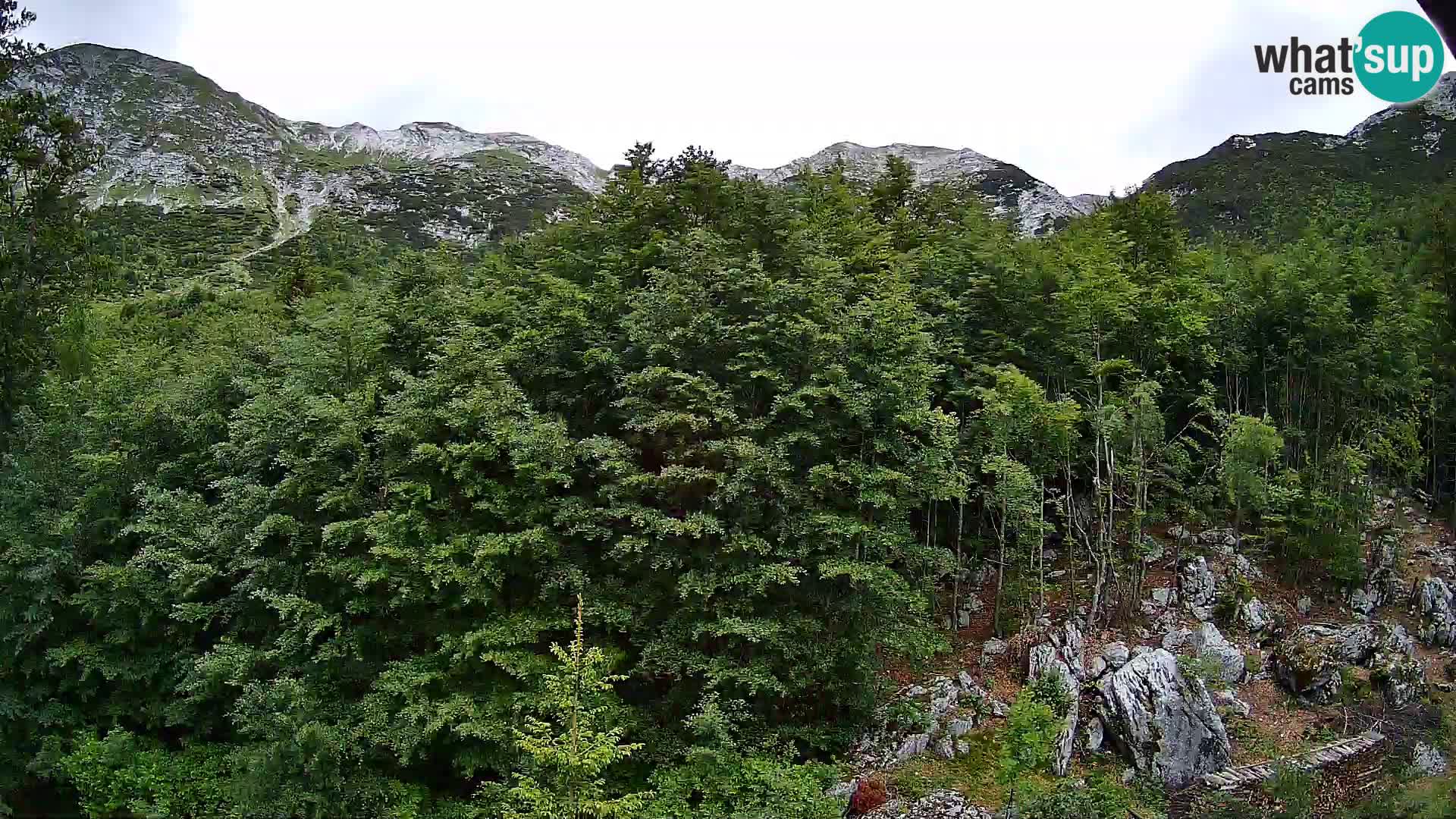 Webcam PLANINA RAZOR (1315) | Blick auf Vogel und Globoko