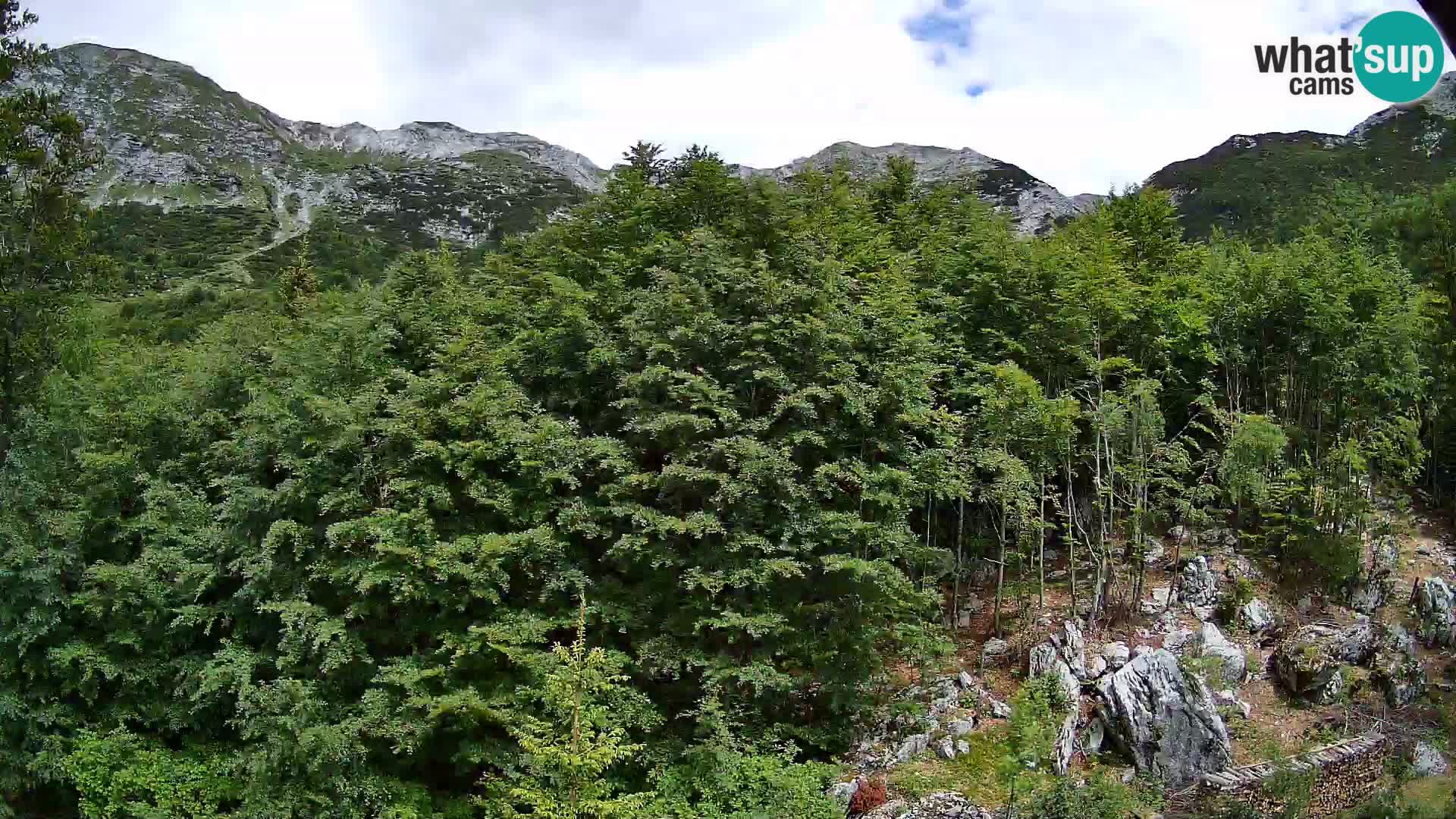 Cámara web PLANINA RAZOR (1315) | vista a Vogel y Globoko