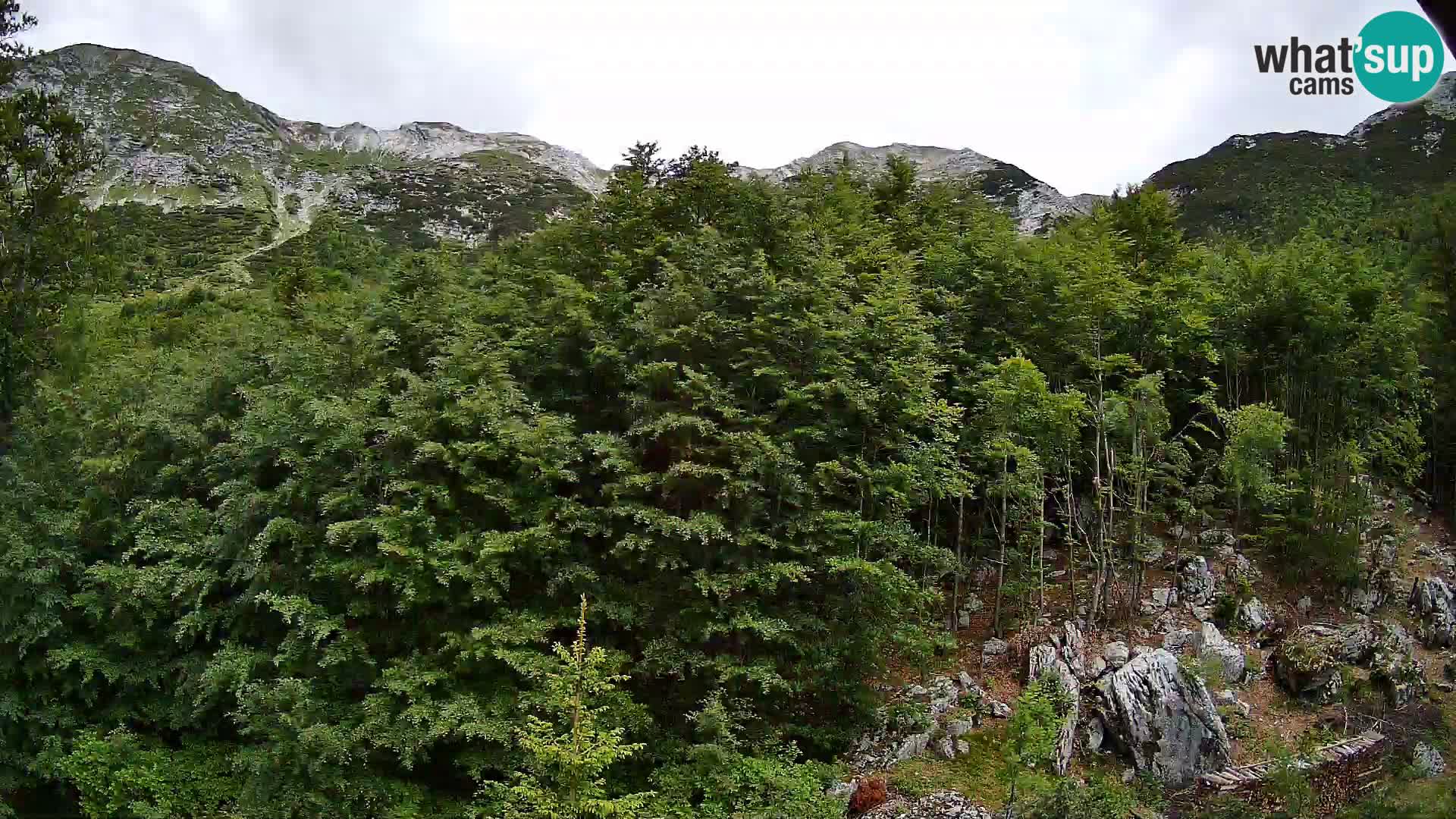Cámara web PLANINA RAZOR (1315) | vista a Vogel y Globoko