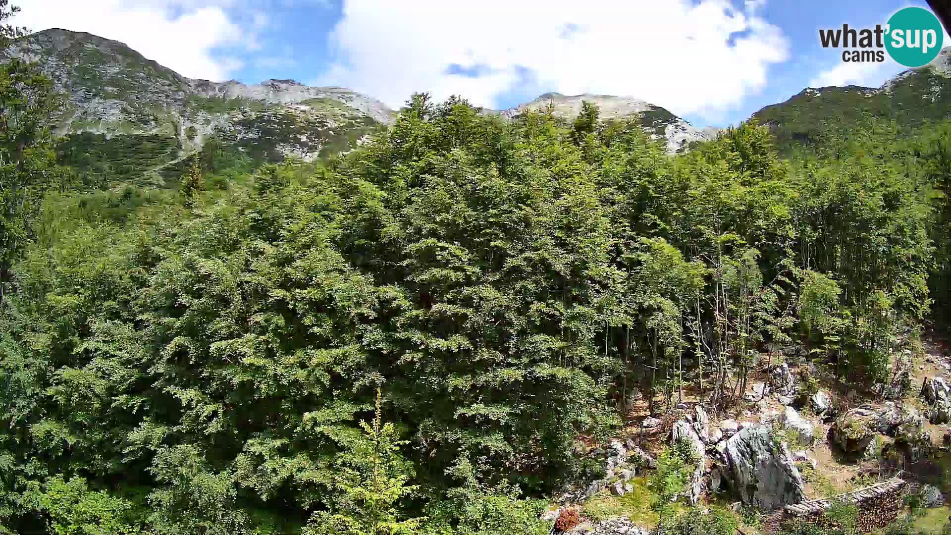 Webcam PLANINA RAZOR (1315) | Blick auf Vogel und Globoko