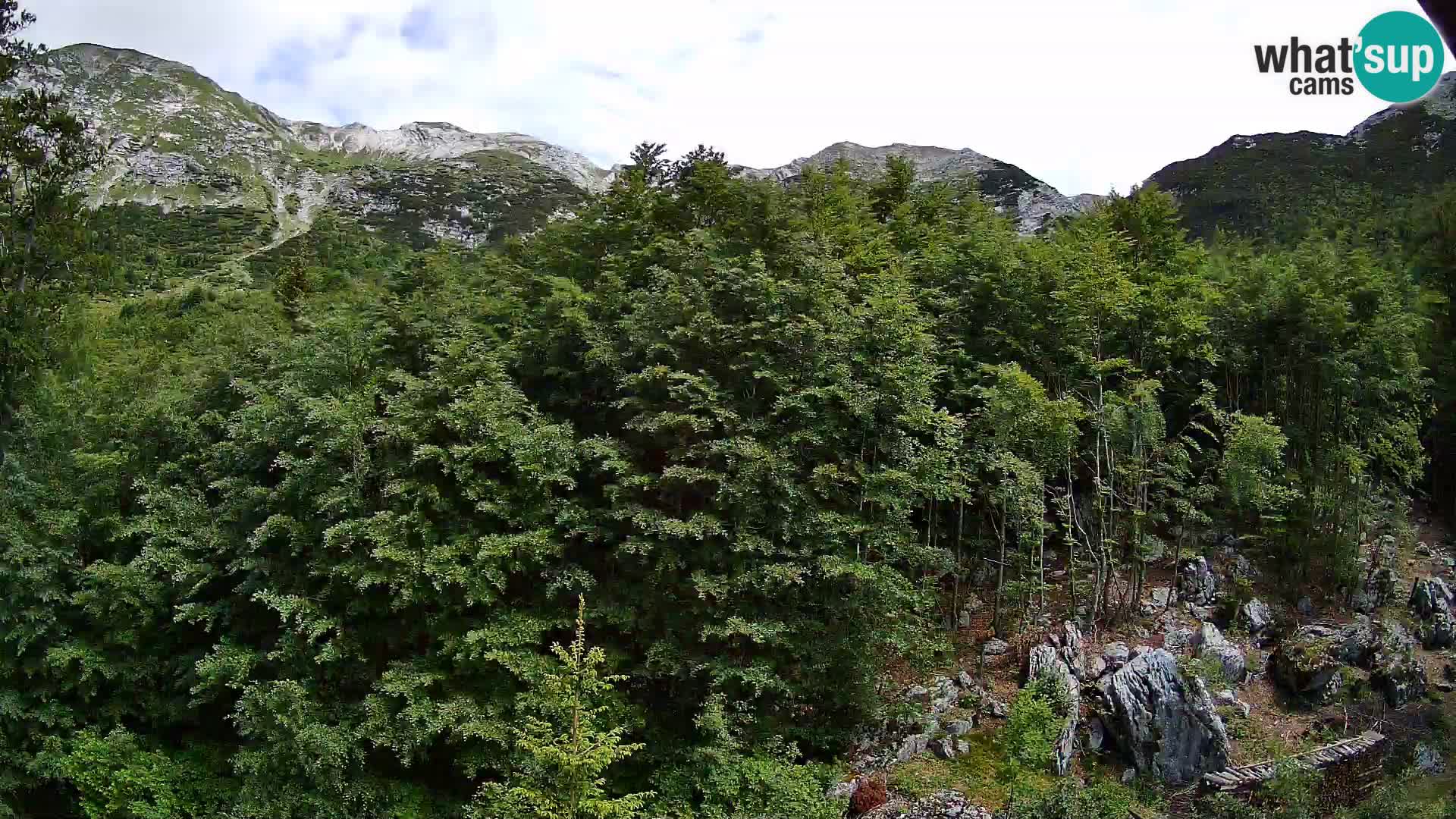 Livecam PLANINA RAZOR (1315) | vue sur Vogel et Globoko