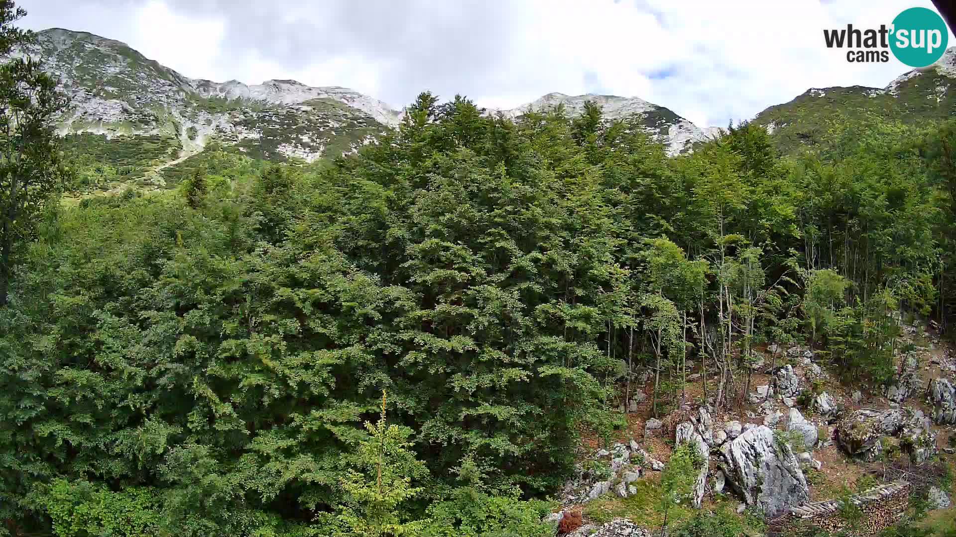 Webcam PLANINA RAZOR (1315) | Blick auf Vogel und Globoko