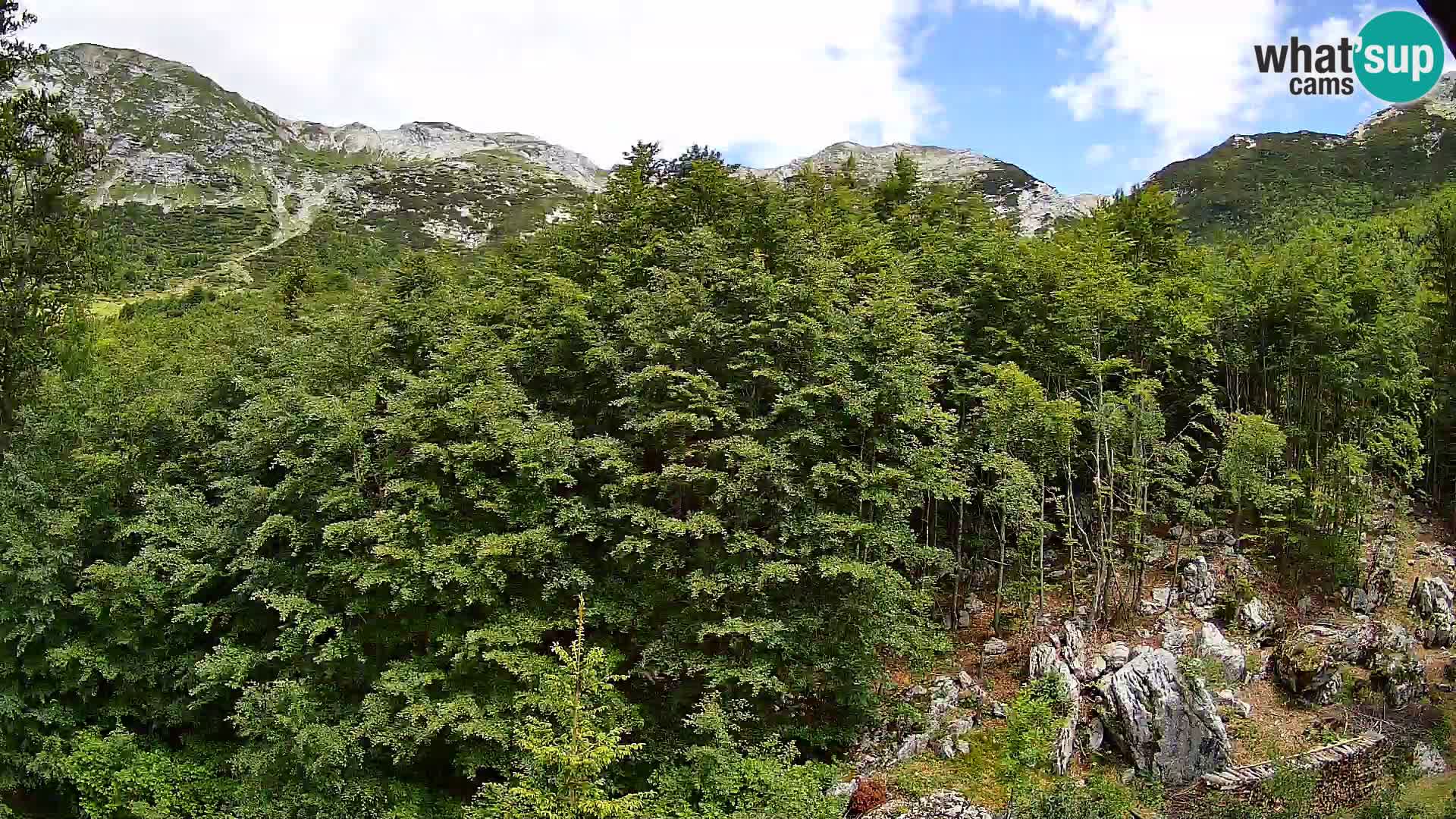 Livecam PLANINA RAZOR (1315) | vue sur Vogel et Globoko