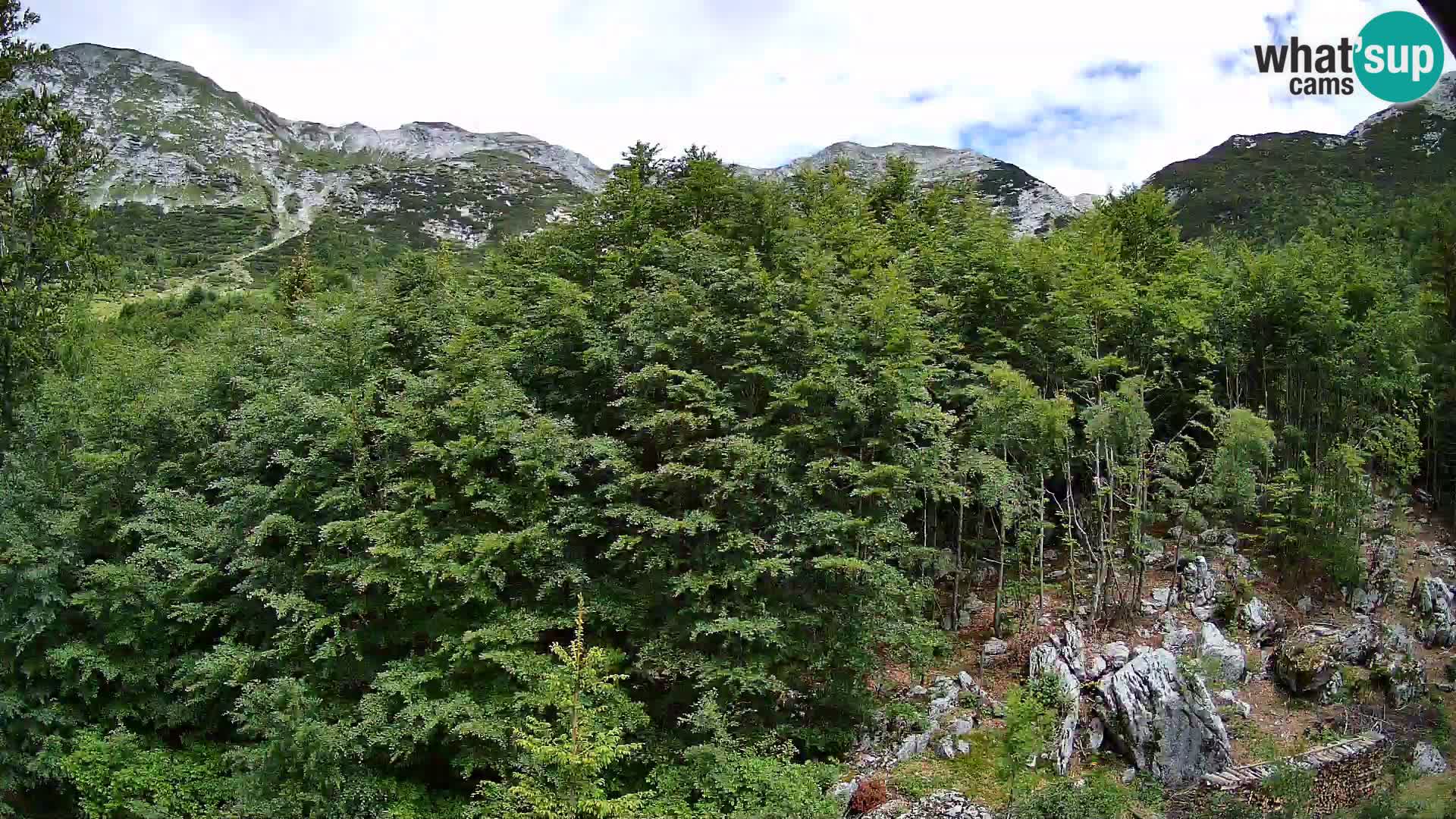 PLANINA RAZOR kamera (1315) | pogled na Vogel in Globoko