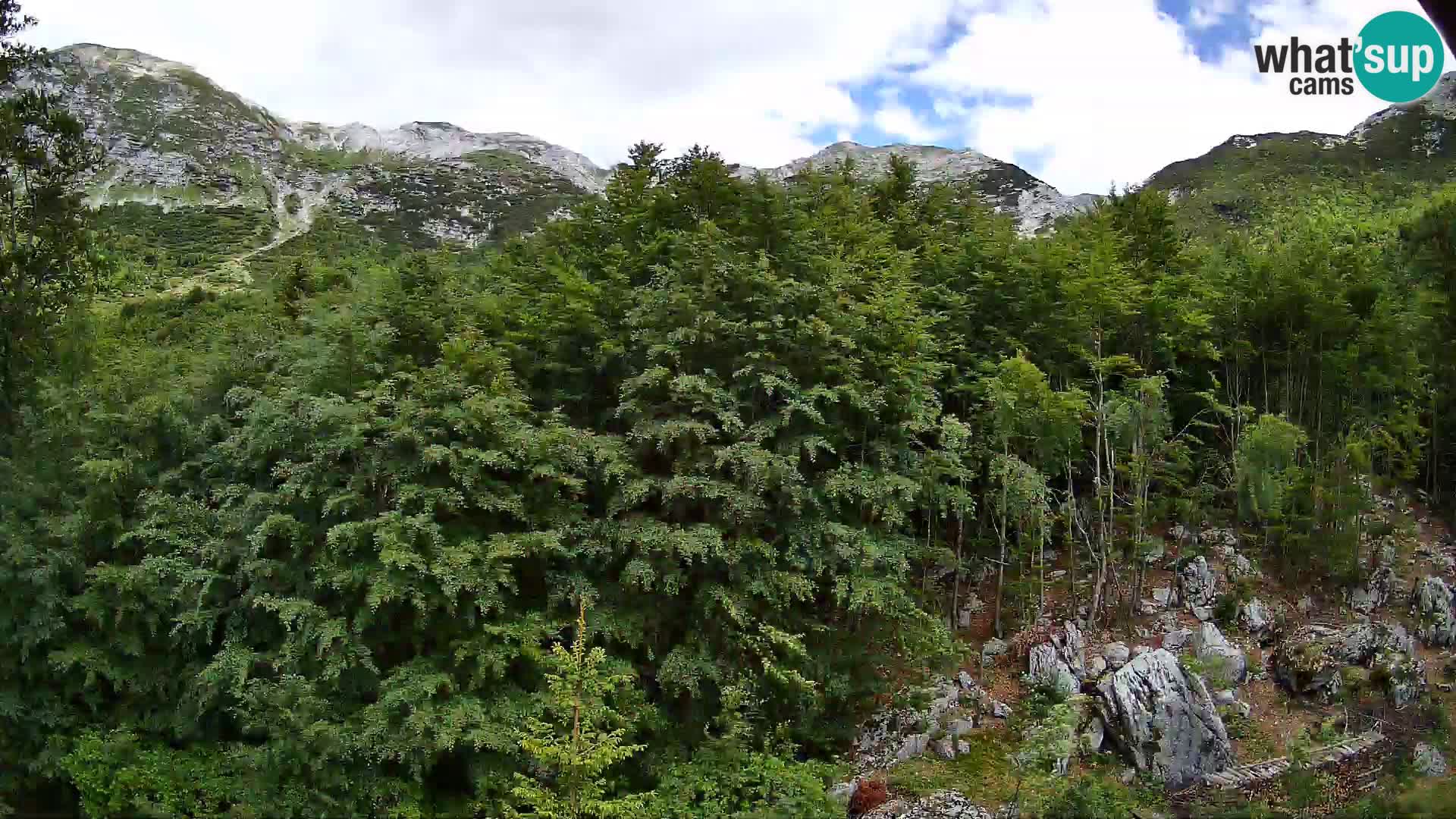 PLANINA RAZOR web kamera (1315) | pogled na Vogel i Globoko
