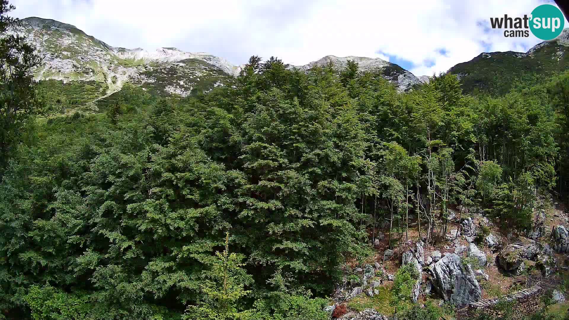 Cámara web PLANINA RAZOR (1315) | vista a Vogel y Globoko