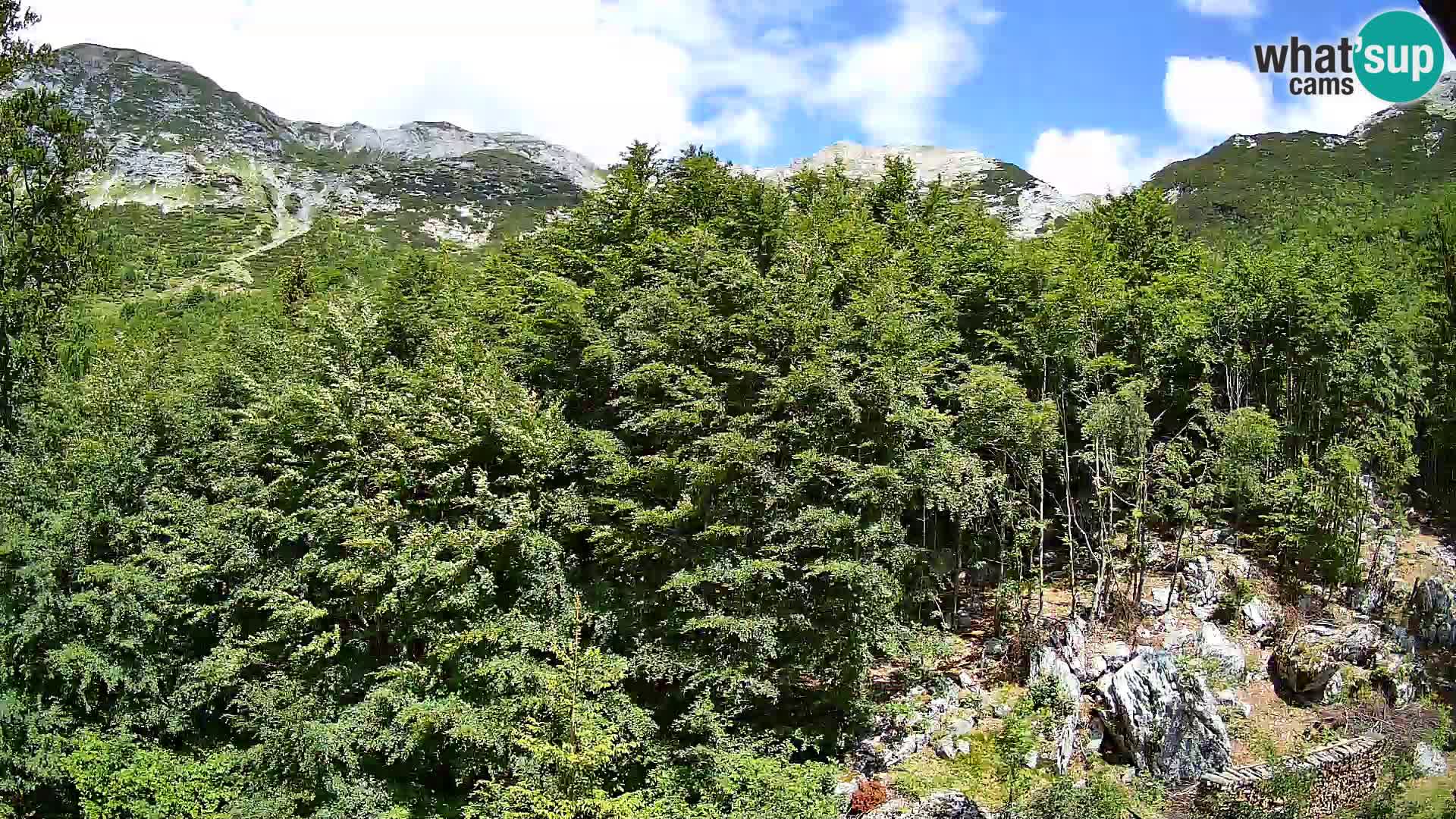 PLANINA RAZOR kamera (1315) | pogled na Vogel in Globoko