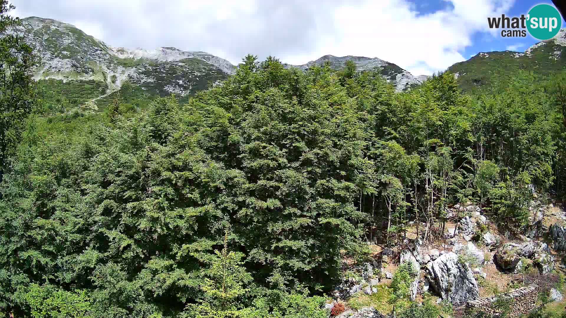 PLANINA RAZOR Live Cam (1315) | vista su Vogel e Globoko