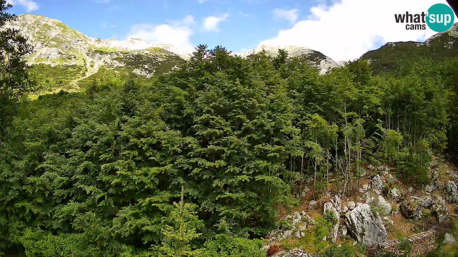 Webcam PLANINA RAZOR (1315) | Blick auf Vogel und Globoko