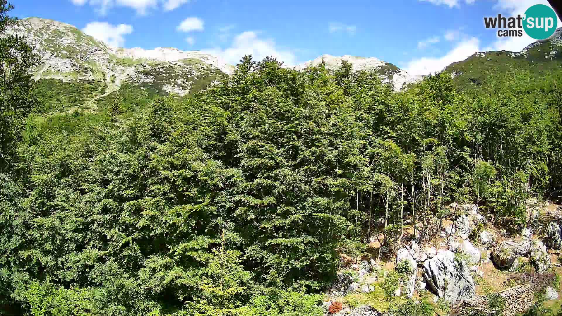 Webcam PLANINA RAZOR (1315) | Blick auf Vogel und Globoko