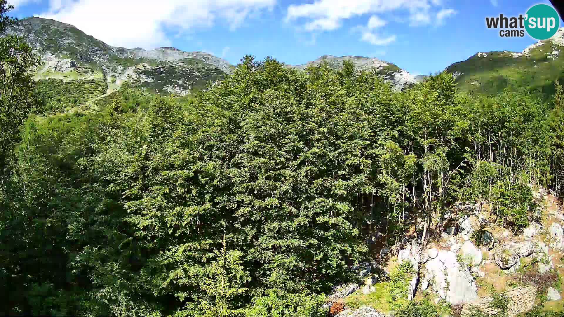 Webcam PLANINA RAZOR (1315) | Blick auf Vogel und Globoko