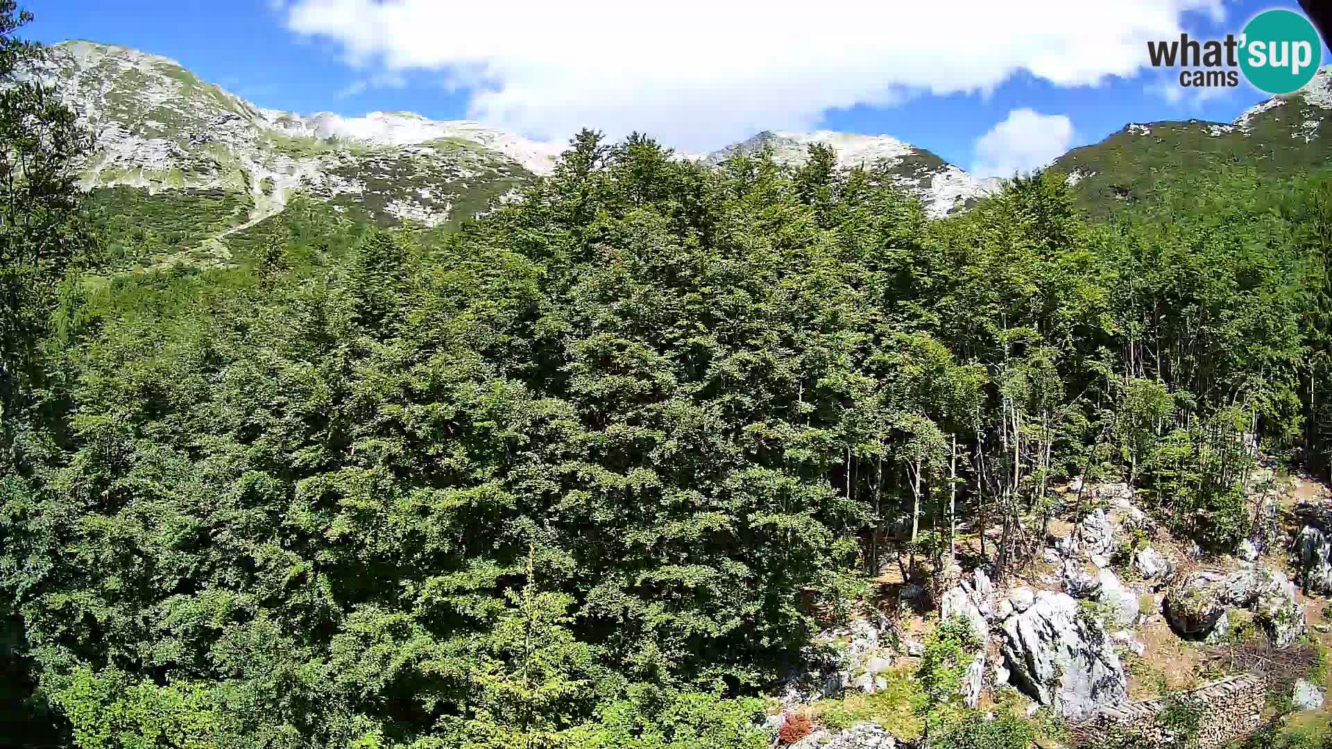 Cámara web PLANINA RAZOR (1315) | vista a Vogel y Globoko