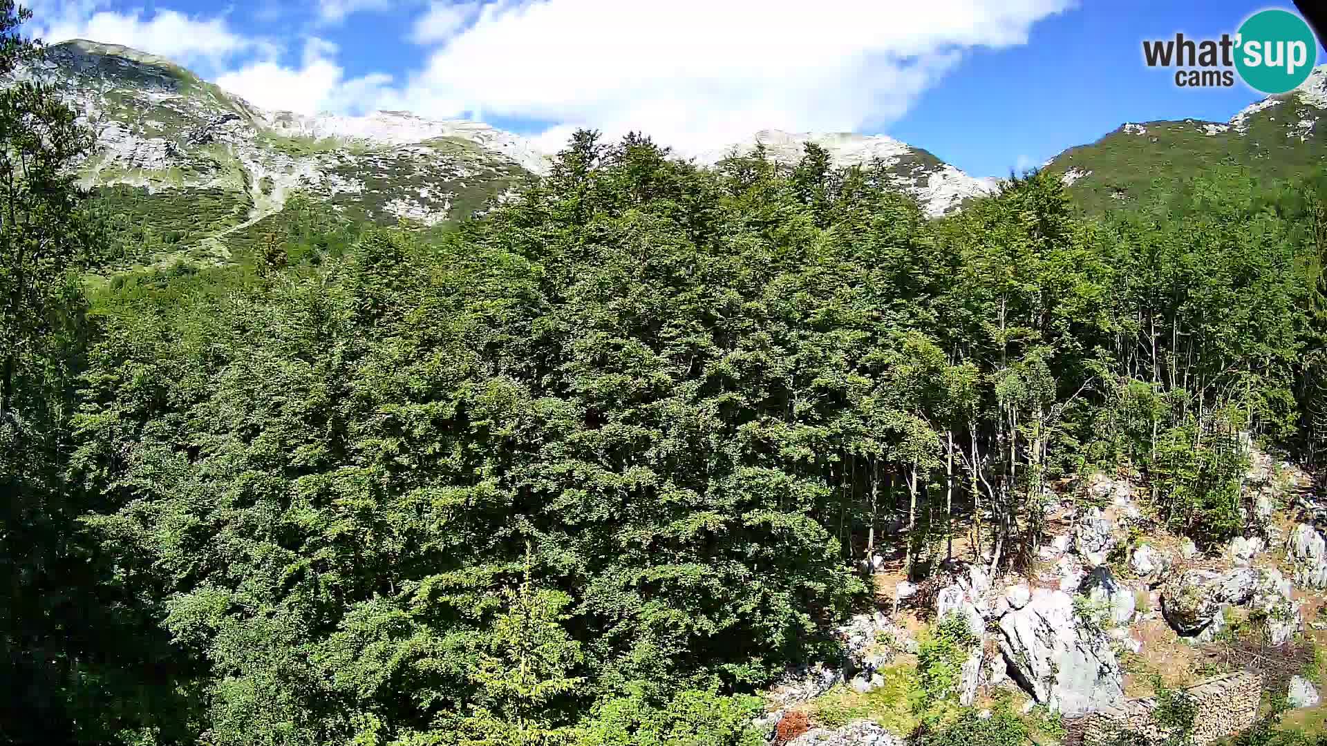 PLANINA RAZOR kamera (1315) | pogled na Vogel in Globoko