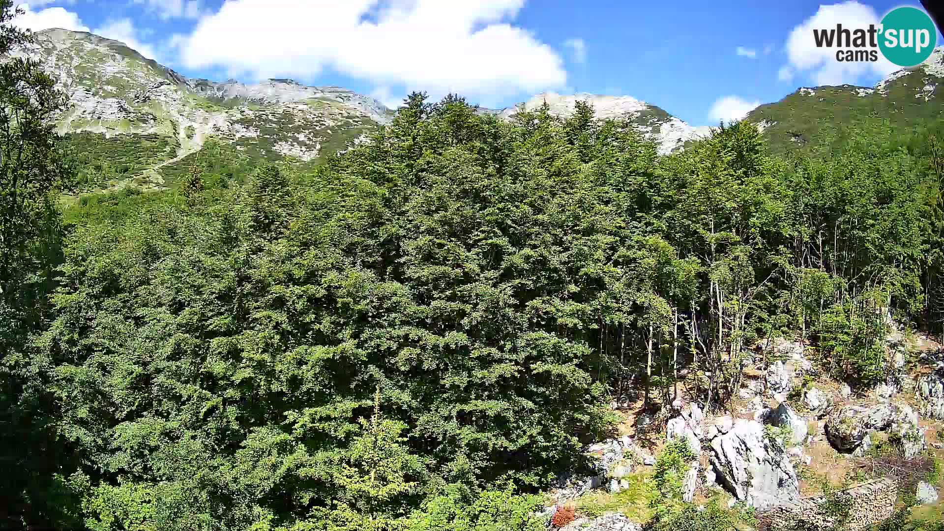 Webcam PLANINA RAZOR (1315) | Blick auf Vogel und Globoko