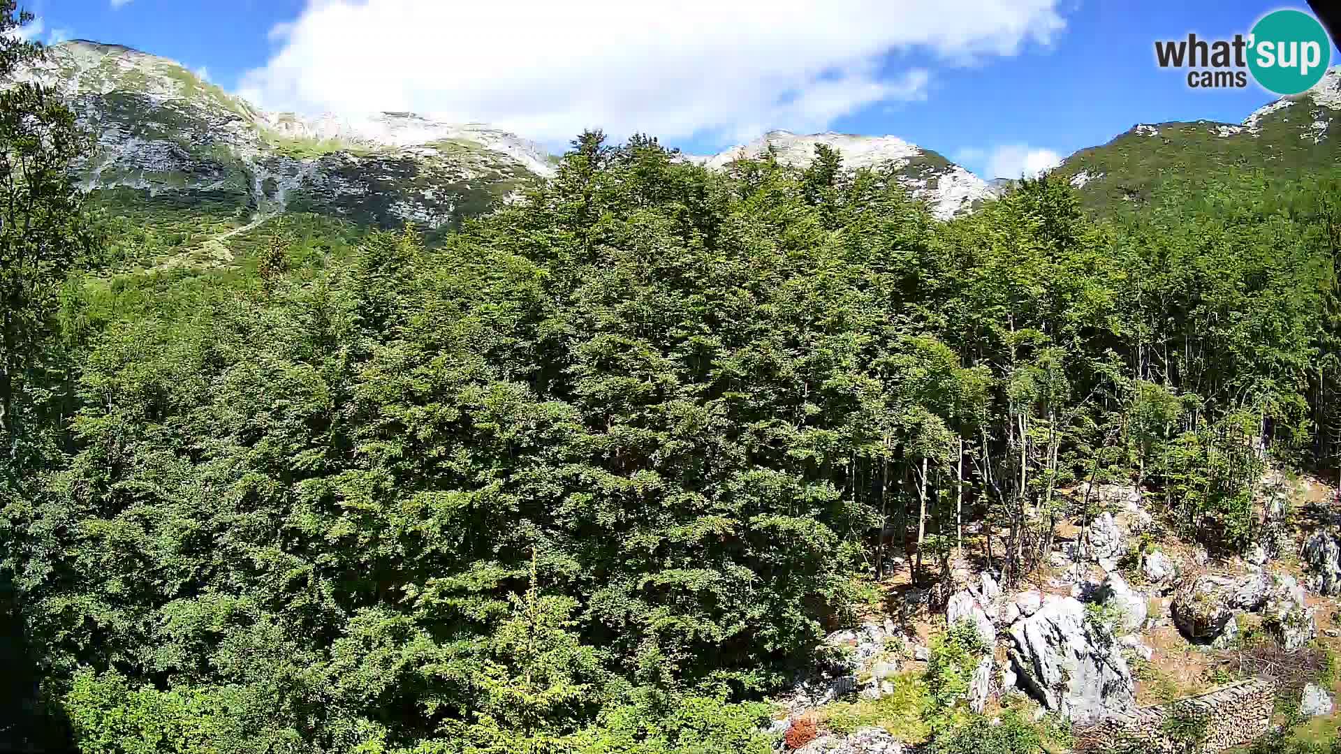 PLANINA RAZOR web kamera (1315) | pogled na Vogel i Globoko