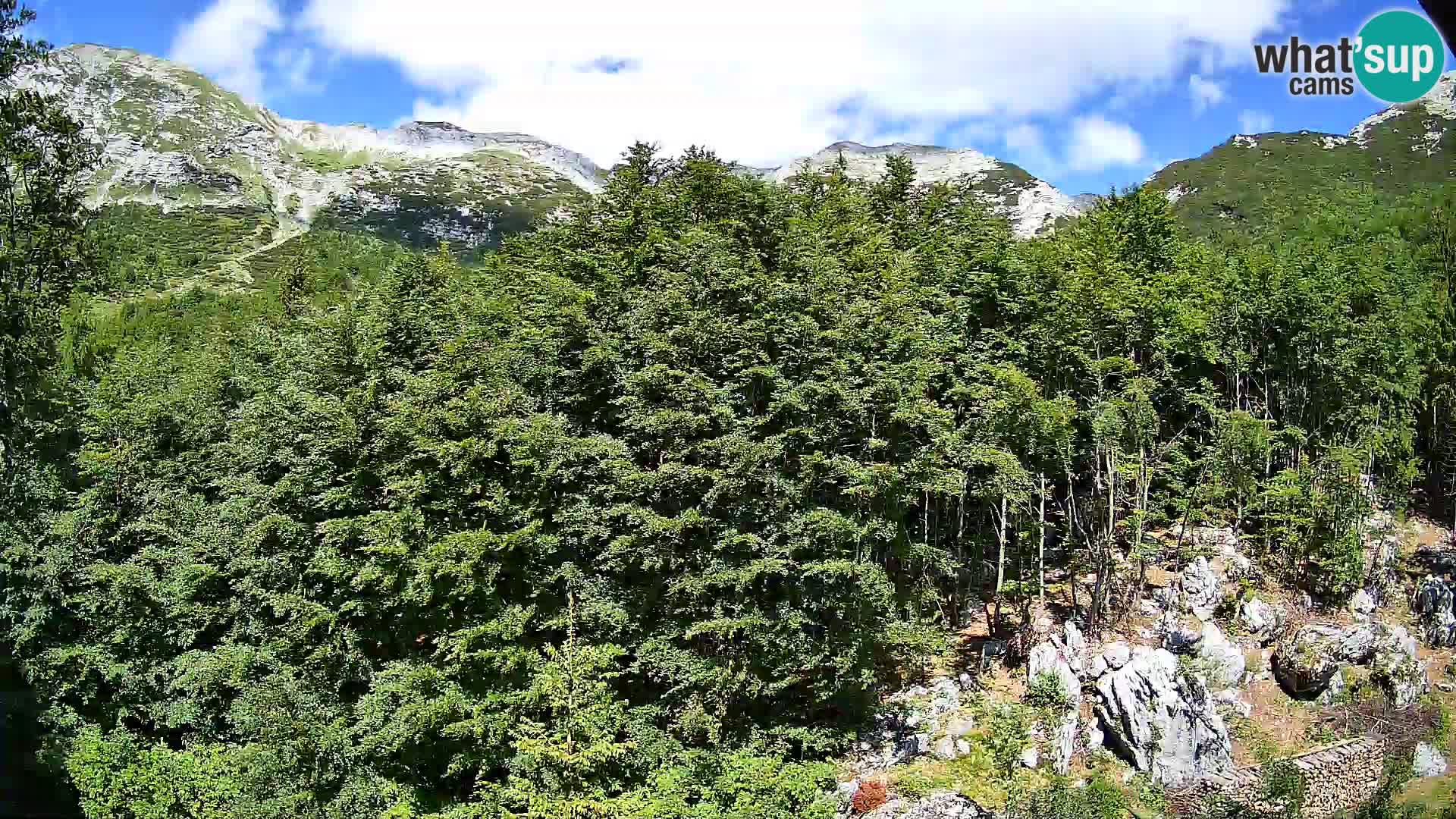 Cámara web PLANINA RAZOR (1315) | vista a Vogel y Globoko