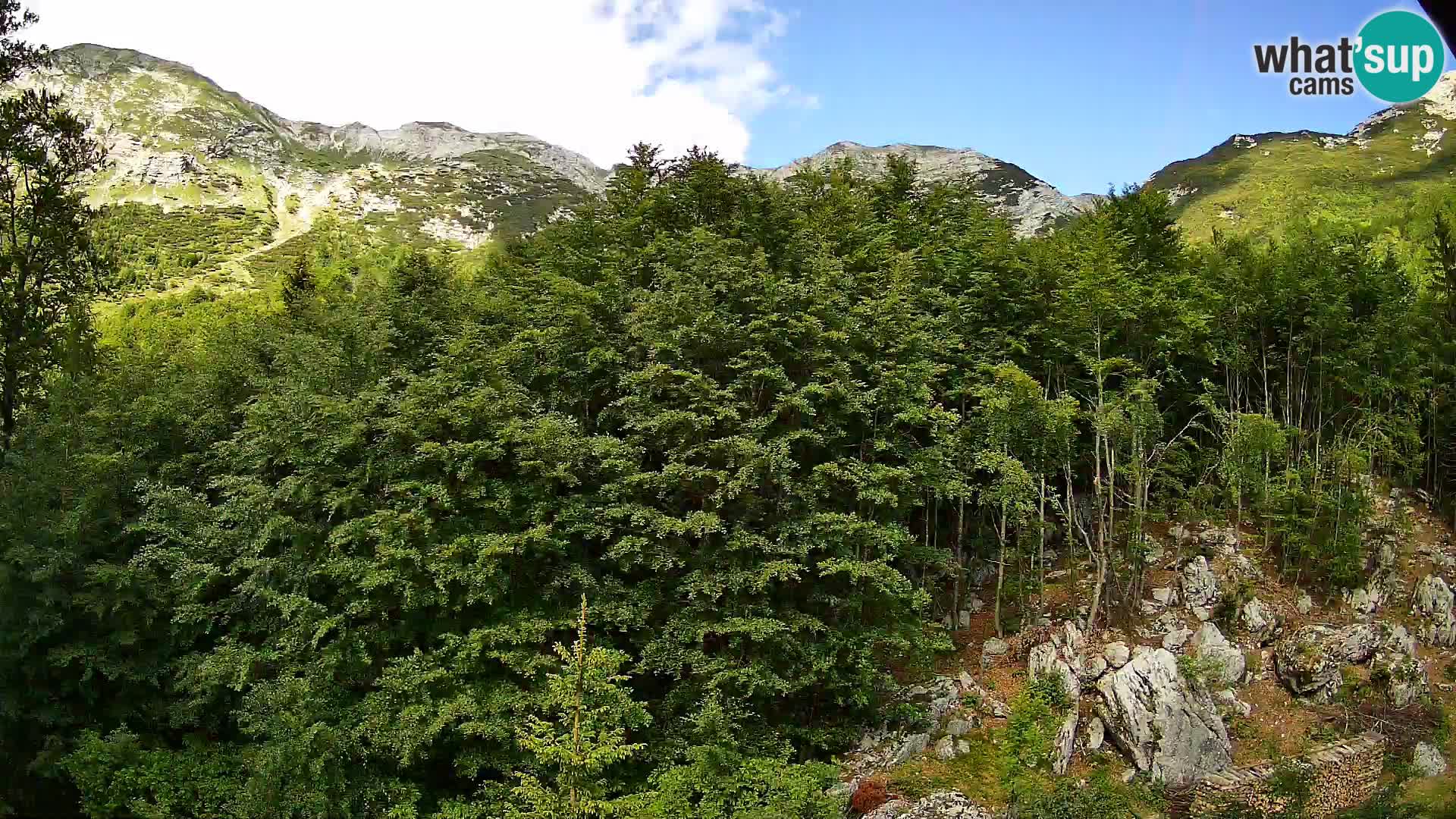 PLANINA RAZOR kamera (1315) | pogled na Vogel in Globoko