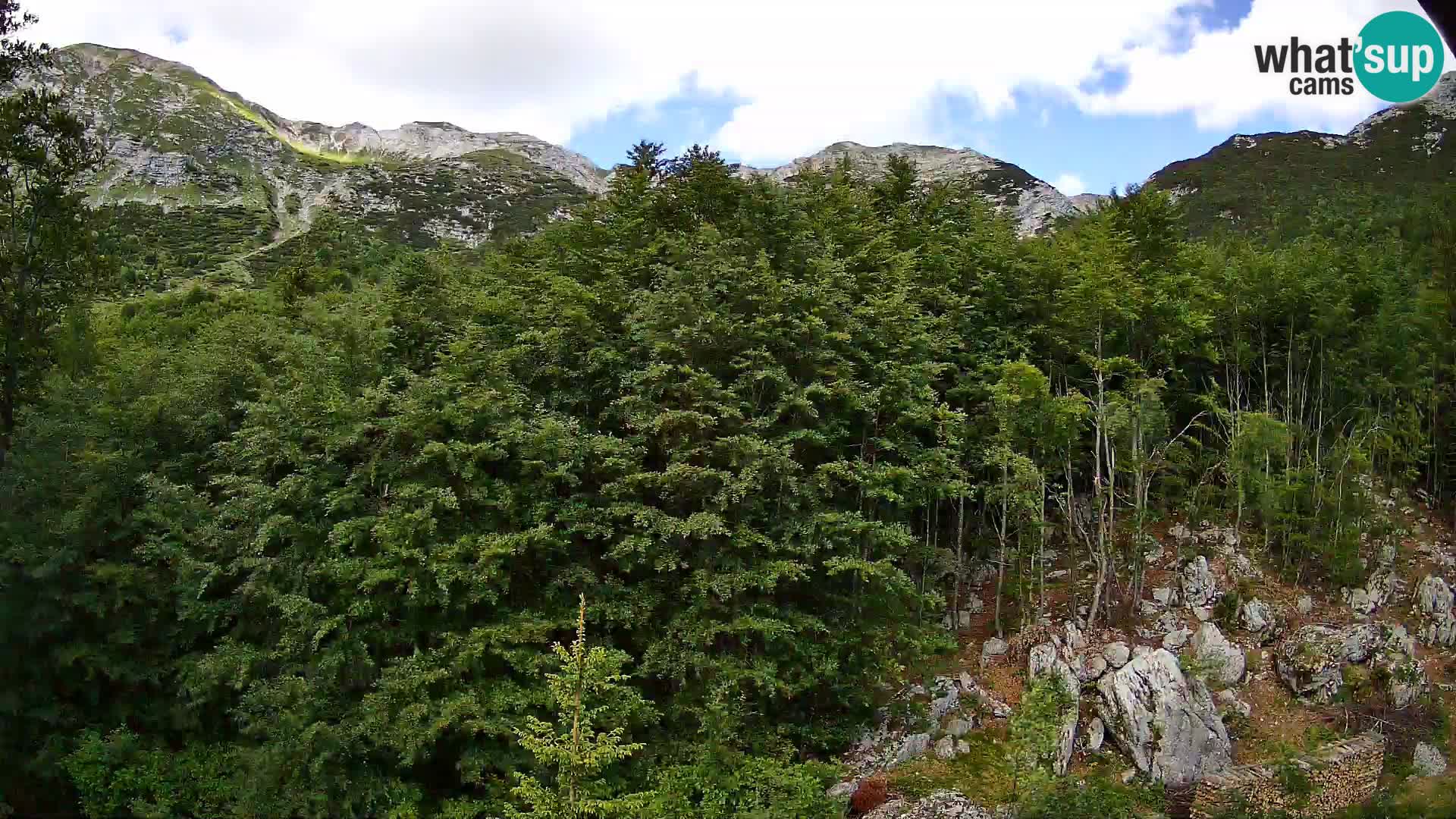 Livecam PLANINA RAZOR (1315) | vue sur Vogel et Globoko