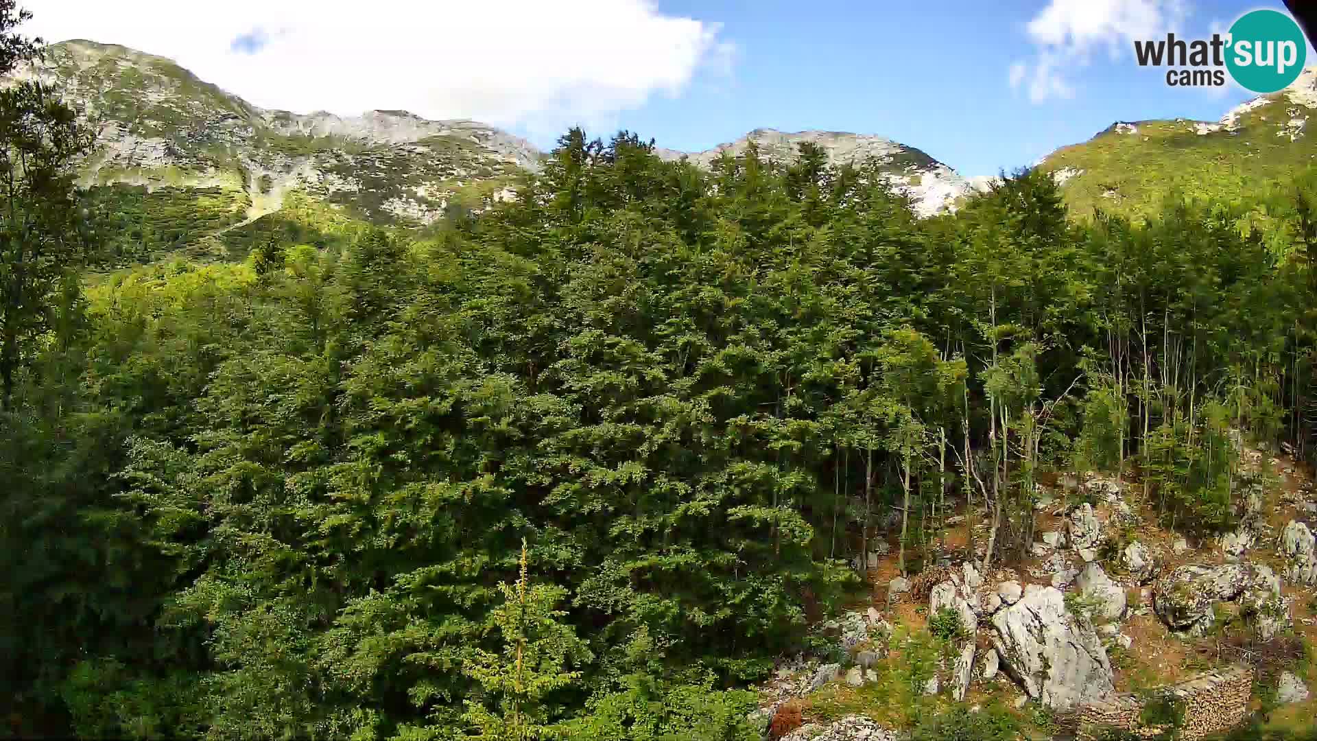 Livecam PLANINA RAZOR (1315) | vue sur Vogel et Globoko