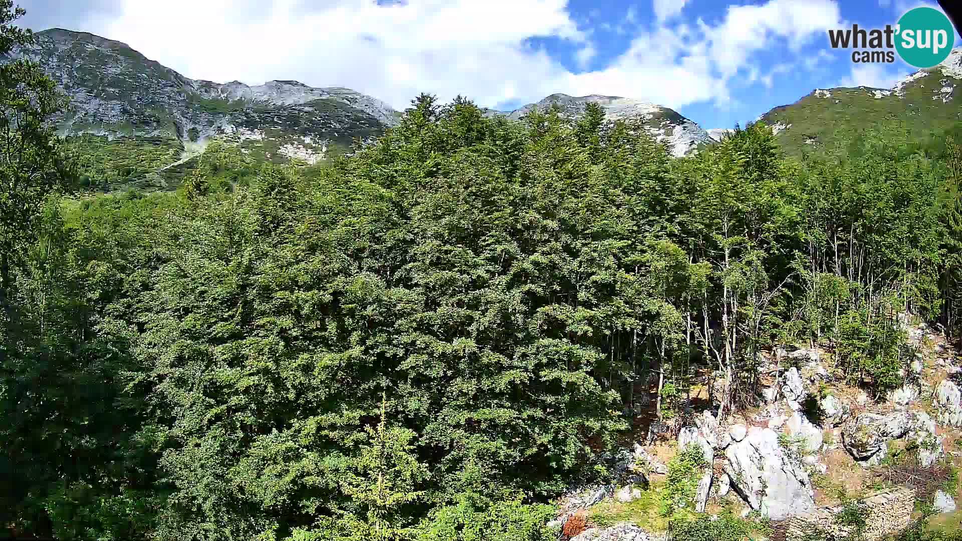 PLANINA RAZOR webcam (1315) | view to Vogel and Globoko