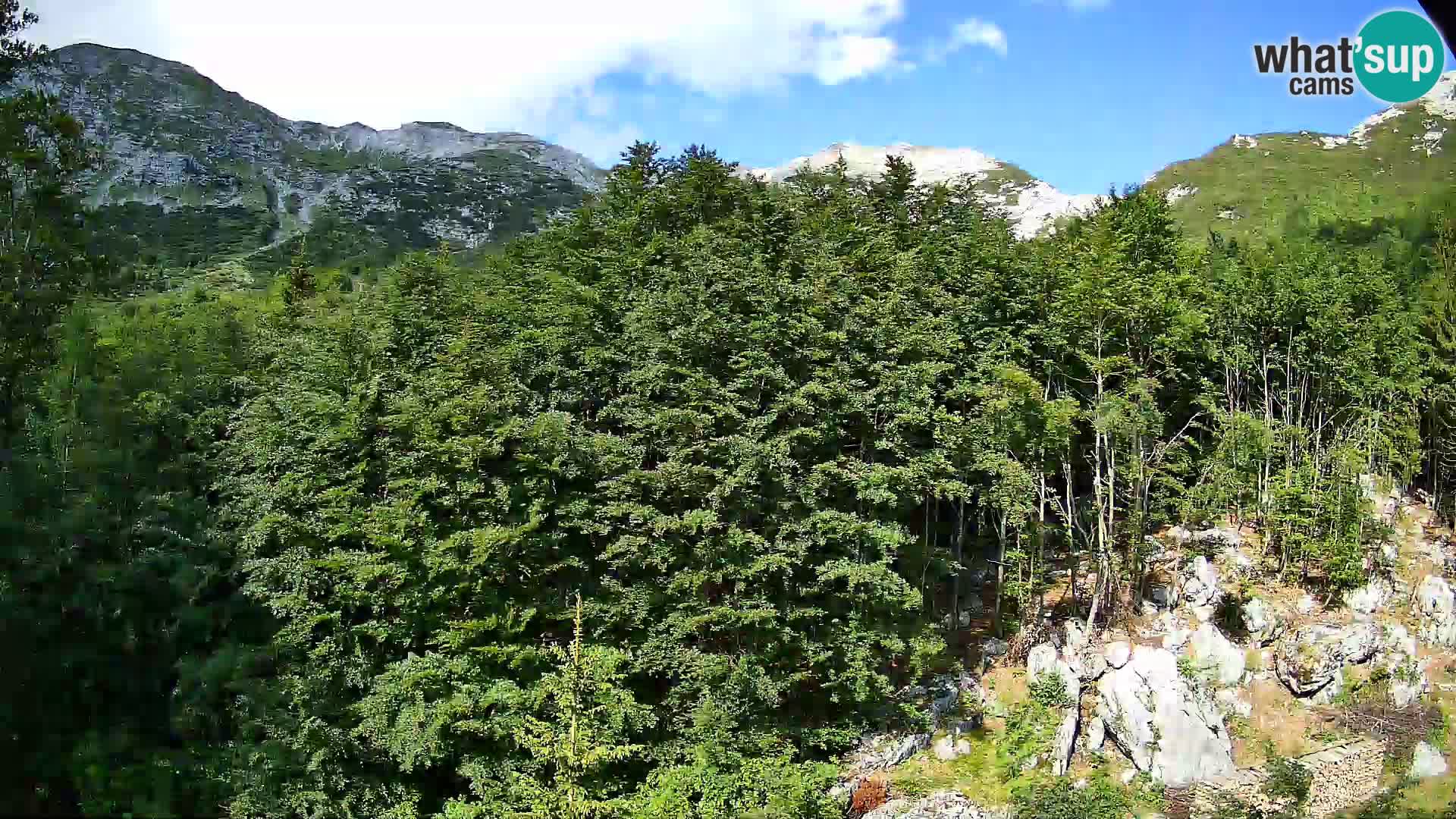 PLANINA RAZOR Live Cam (1315) | vista su Vogel e Globoko