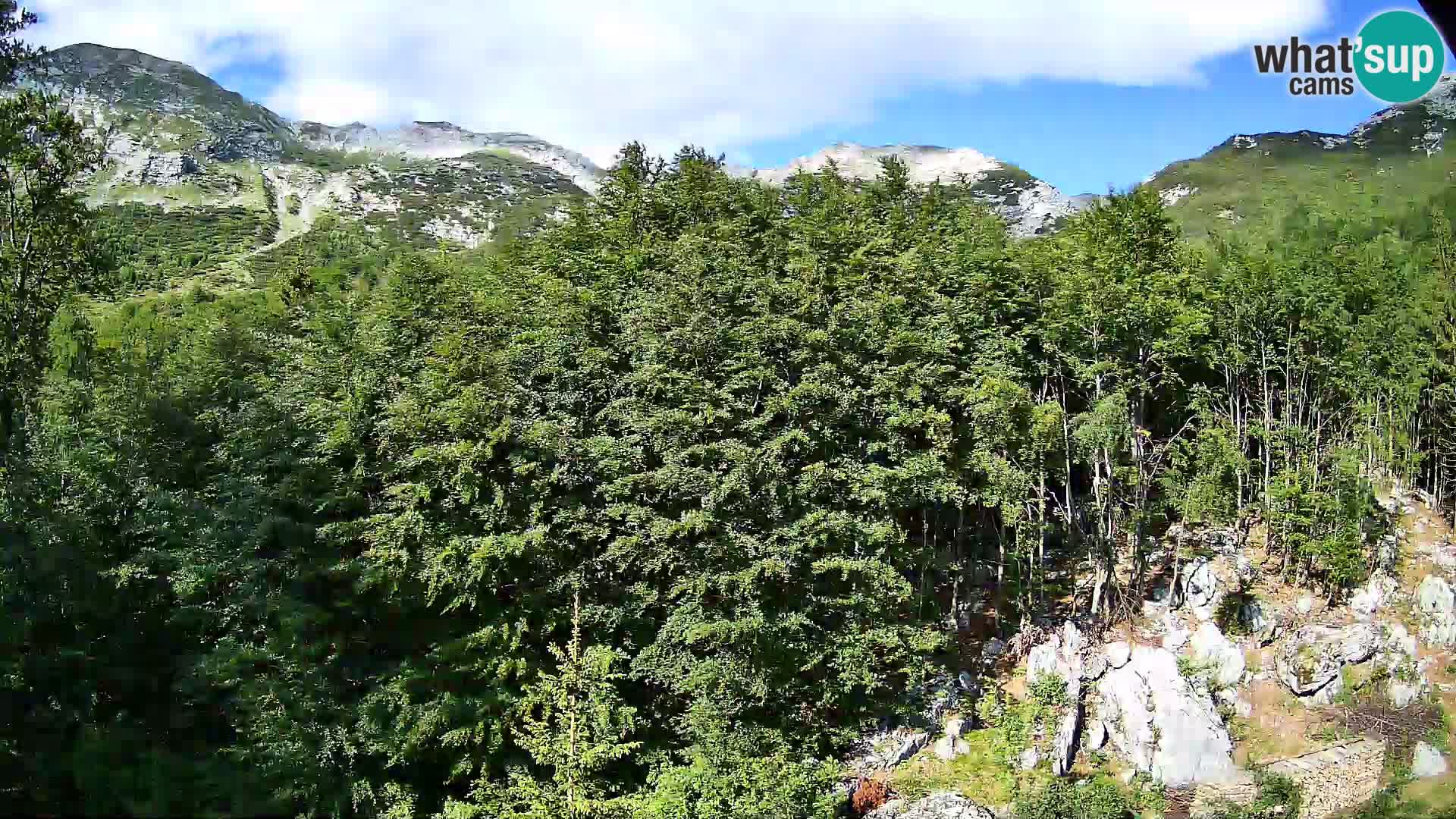 Cámara web PLANINA RAZOR (1315) | vista a Vogel y Globoko