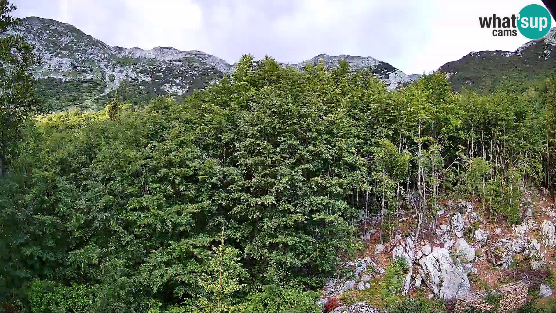 PLANINA RAZOR webcam (1315) | view to Vogel and Globoko
