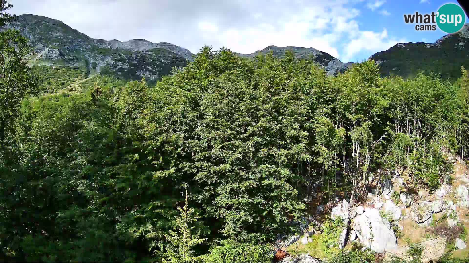 Livecam PLANINA RAZOR (1315) | vue sur Vogel et Globoko