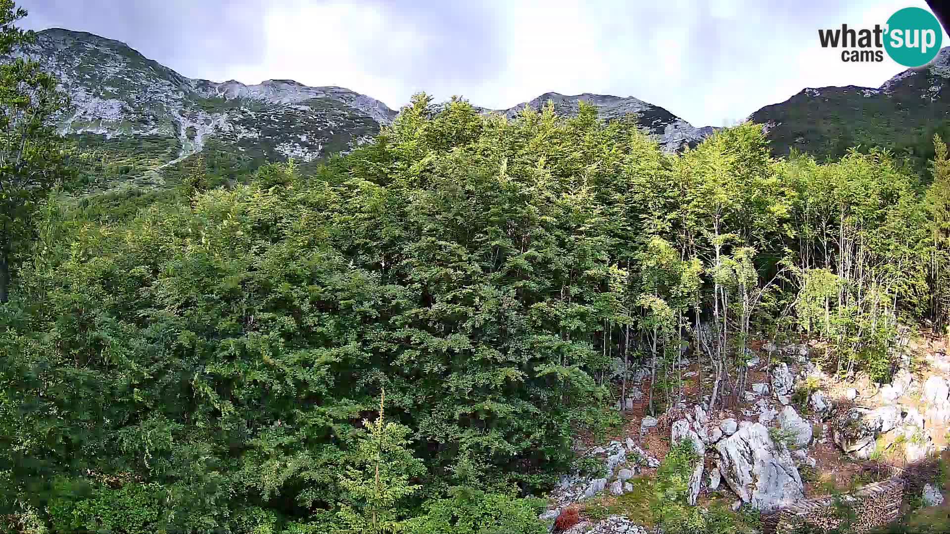 PLANINA RAZOR Live Cam (1315) | vista su Vogel e Globoko