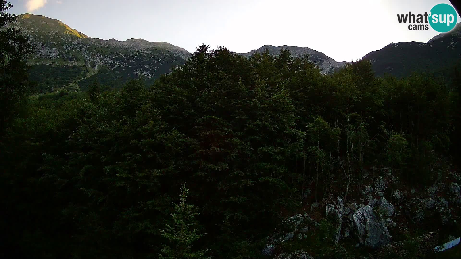 Webcam PLANINA RAZOR (1315) | Blick auf Vogel und Globoko