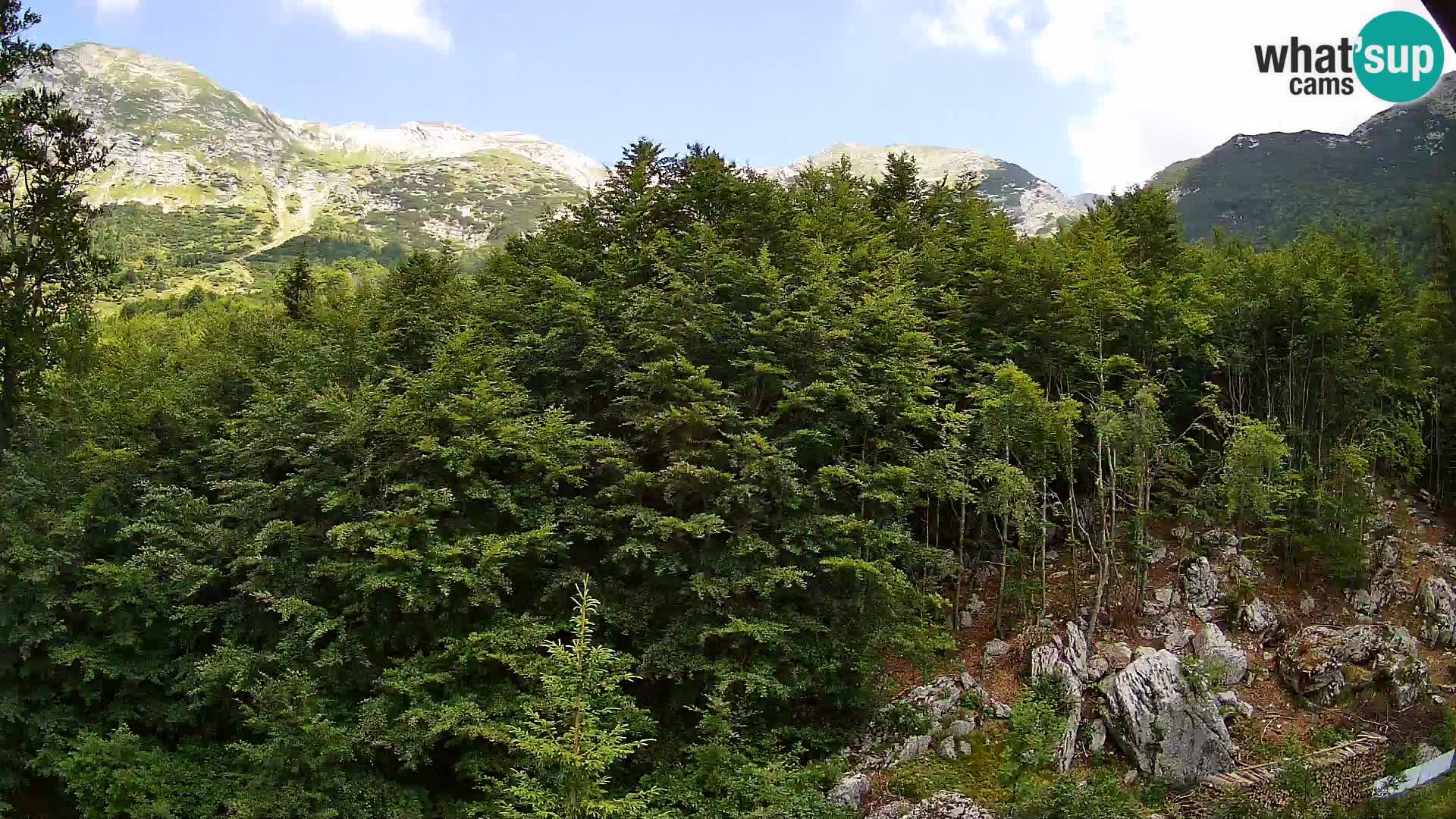 Livecam PLANINA RAZOR (1315) | vue sur Vogel et Globoko