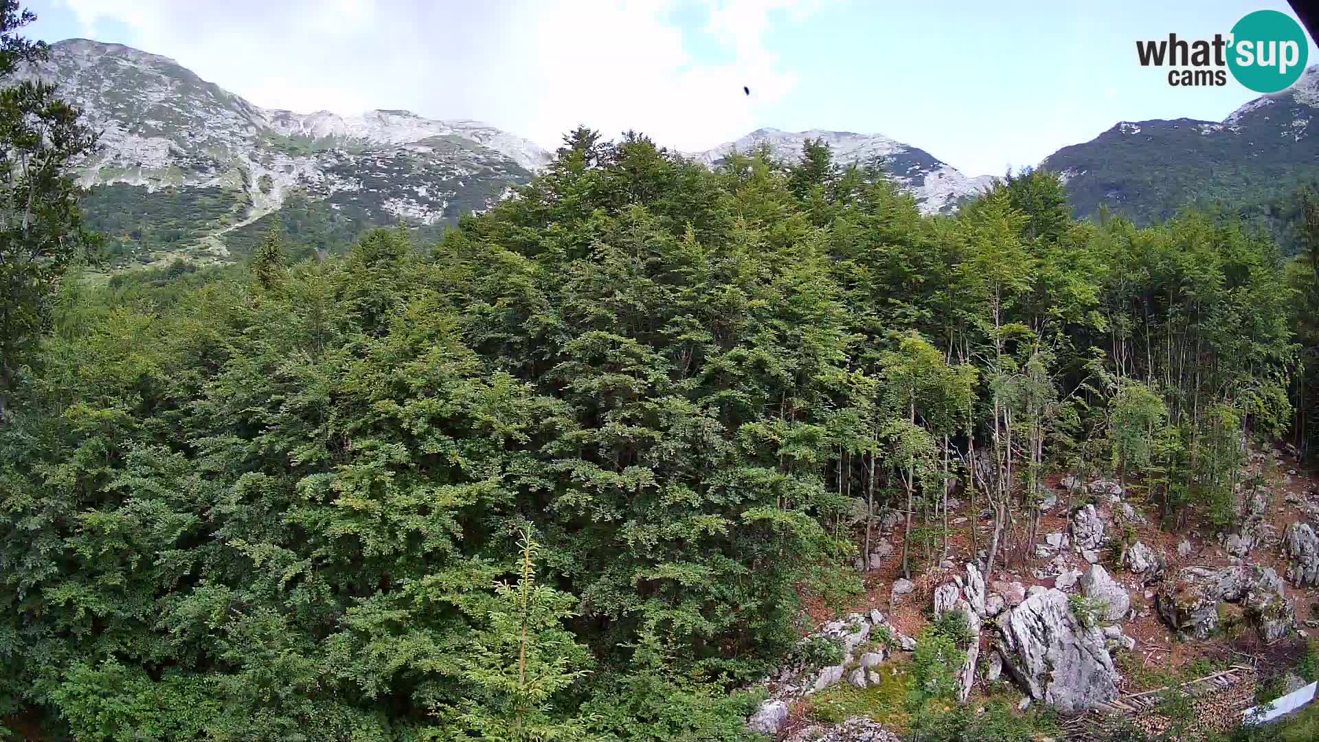 Webcam PLANINA RAZOR (1315) | Blick auf Vogel und Globoko