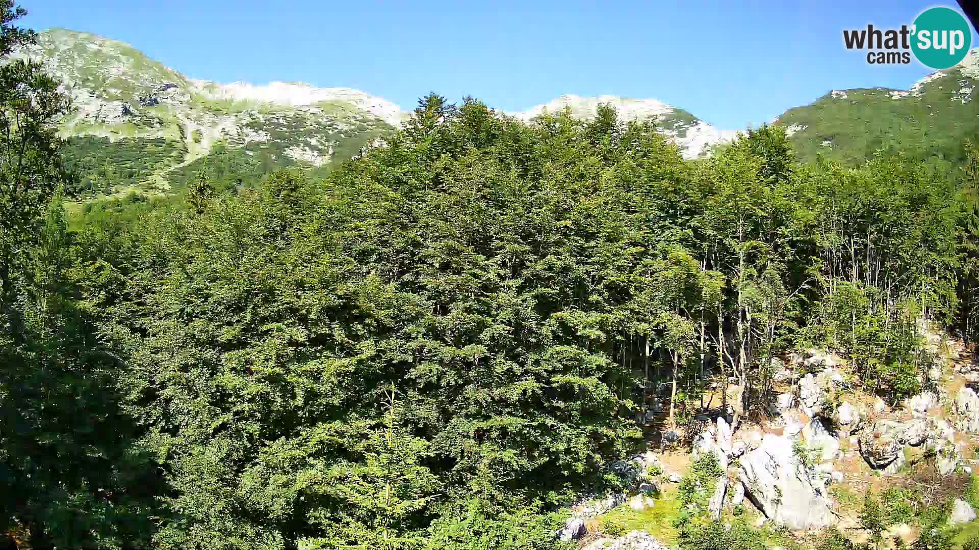 PLANINA RAZOR webcam (1315) | view to Vogel and Globoko