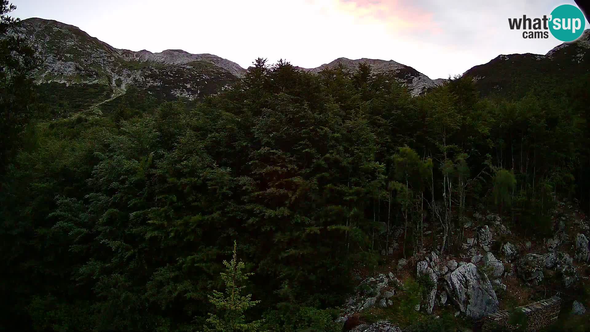 Webcam PLANINA RAZOR (1315) | Blick auf Vogel und Globoko